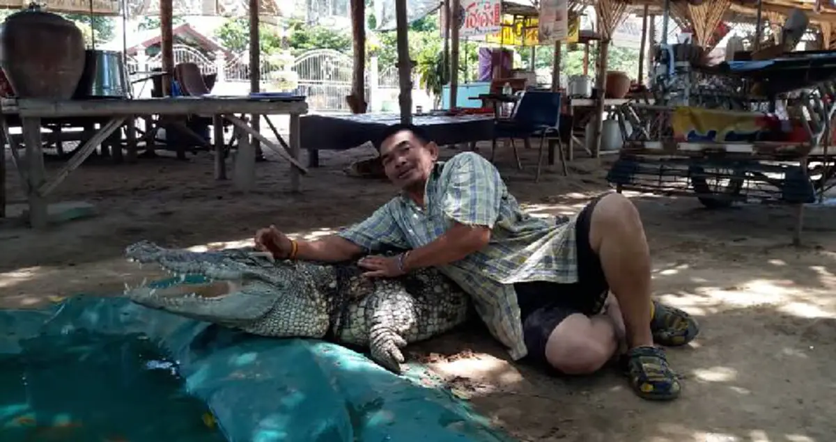 สุดตะลึง!! จระเข้เเสนรู้ "จ้าวเข่ง"ขวัญใจ(มหาชน) เด่วรู้กัน!!พิสูจน์แล้ว บอกได้คำเดียวเลยว่า?? (มีคลิป-ภาพ)