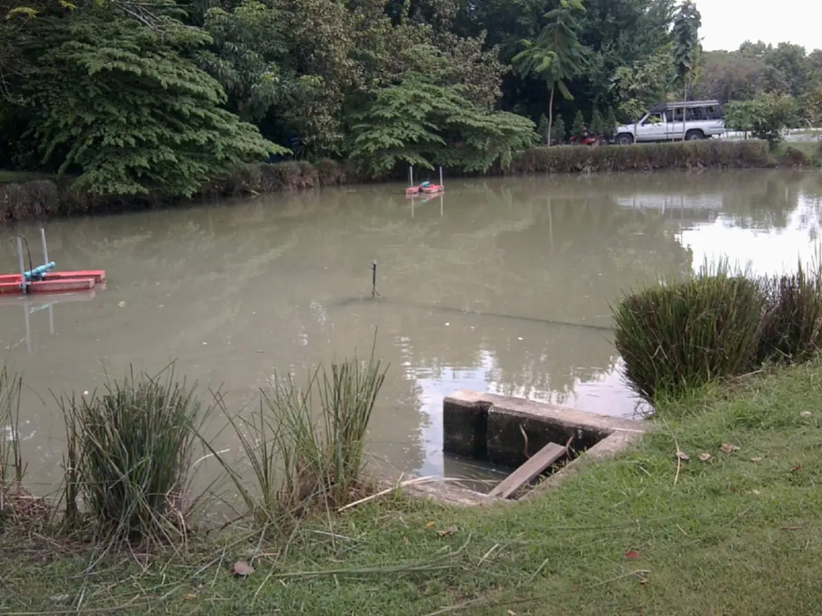 เคยเห็นกันหรือยัง "วังสวนจิตรลดา บ้านของพ่อ...พระราชวังเดียวในโลก.. ที่มีแต่ท้องไร่ท้องนา"(ภาพ)