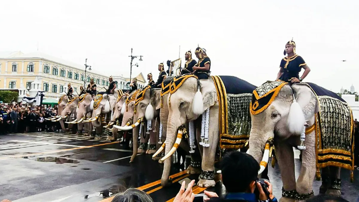 เซฟไว้ให้ลูกหลานได้ดู...ประมวลภาพขบวนช้างมงคล 11 เชือก ทำพิธีถวายบังคมพระบรมศพ..."ช้างเผือกของในหลวงรัชกาลที่9" หาดูที่ไหนไม่ได้อีกแล้ว(ชมภา