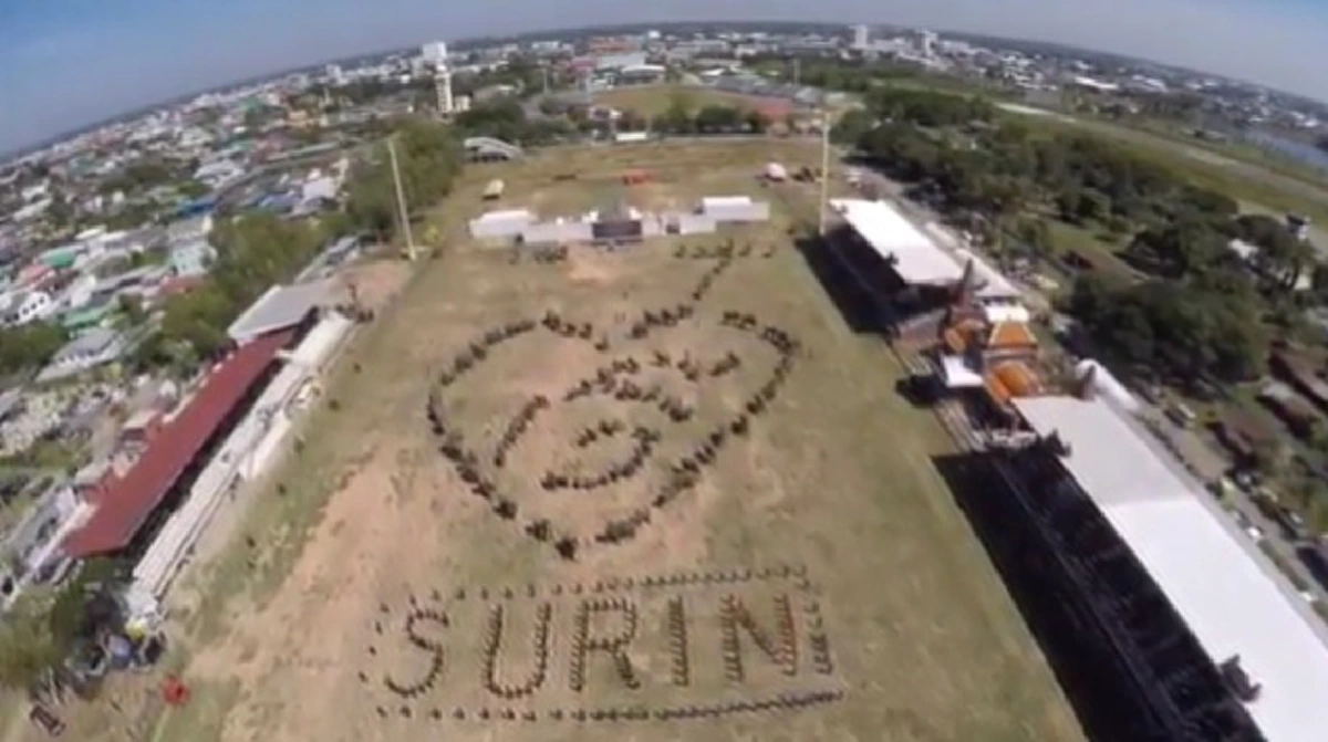 สุดตระการตา!!! ช้างแสนรู้เมืองสุรินทร์ 300 เชือก ร่วมใจแปรอักษรเป็นรูปเลข ๙ ในกิจกรรม รวมช่้าง รวมใจ ไว้อาลัยพ่อหลวง (มีภาพ)