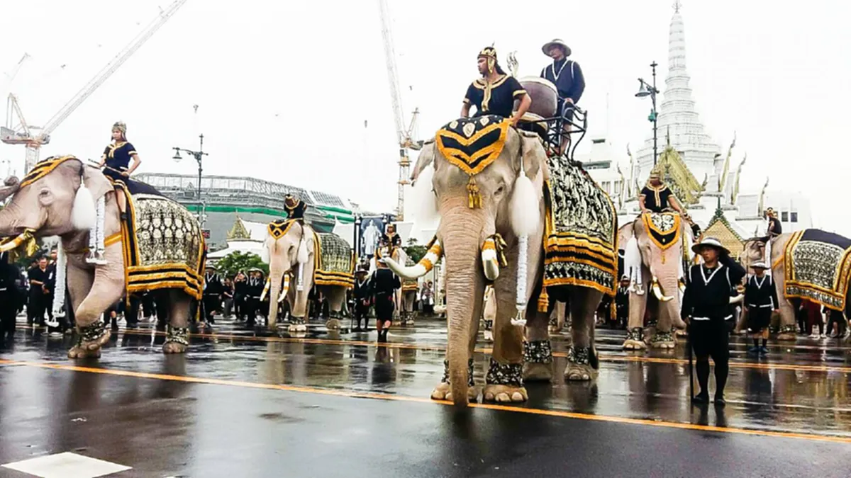 เซฟไว้ให้ลูกหลานได้ดู...ประมวลภาพขบวนช้างมงคล 11 เชือก ทำพิธีถวายบังคมพระบรมศพ..."ช้างเผือกของในหลวงรัชกาลที่9" หาดูที่ไหนไม่ได้อีกแล้ว(ชมภา