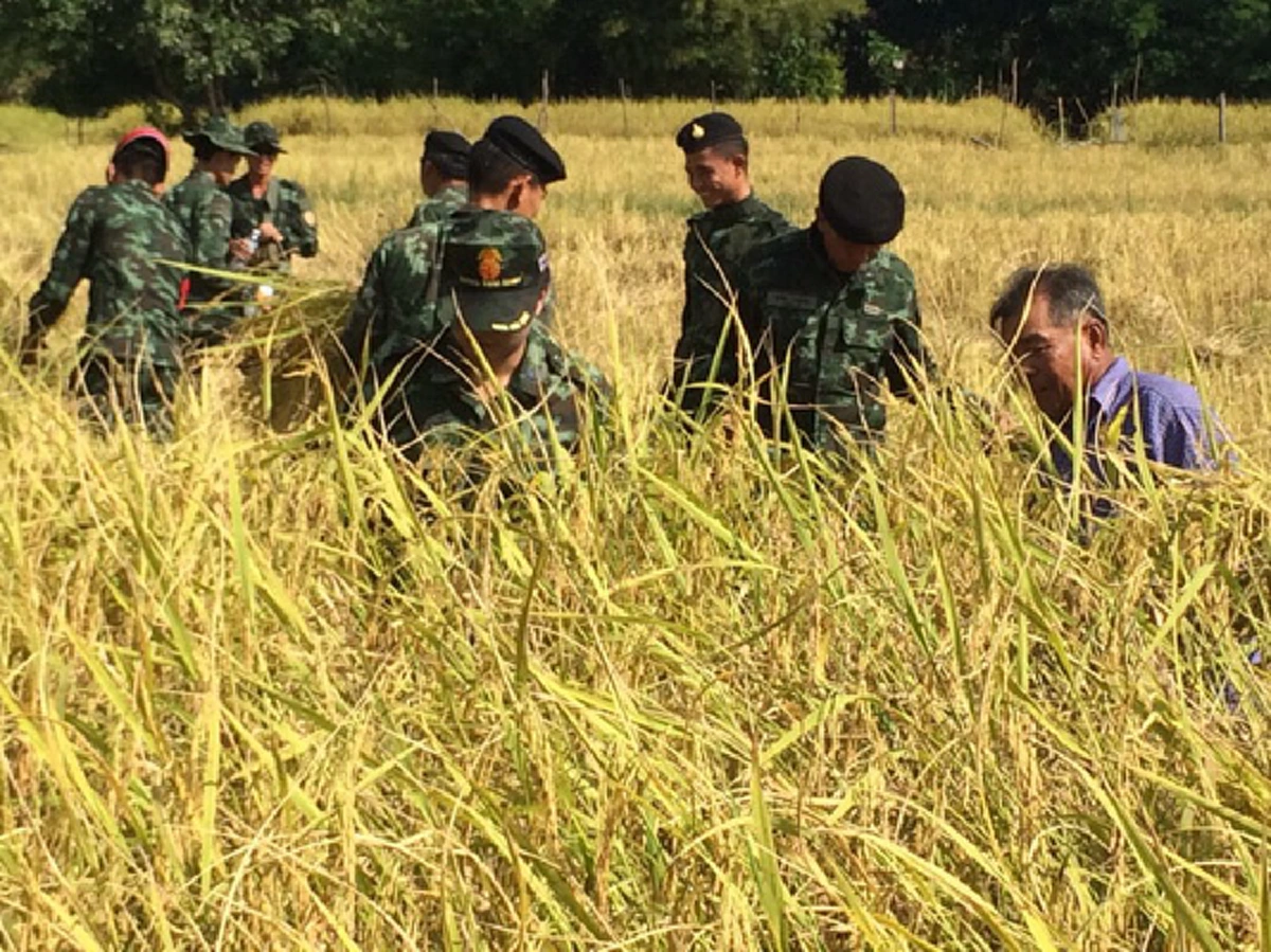 อ้าวไม่รู้เหรอ..คนไทยเขาหนุน"บิ๊กตู่" รบกับพวกโกงชาติ!!! "เดอะเต้น" เหน็บแก้ปัญหาข้าวเหมือนย่องเบา เอาผิด "รัฐบาลปู"เหมือนทำสงคราม???