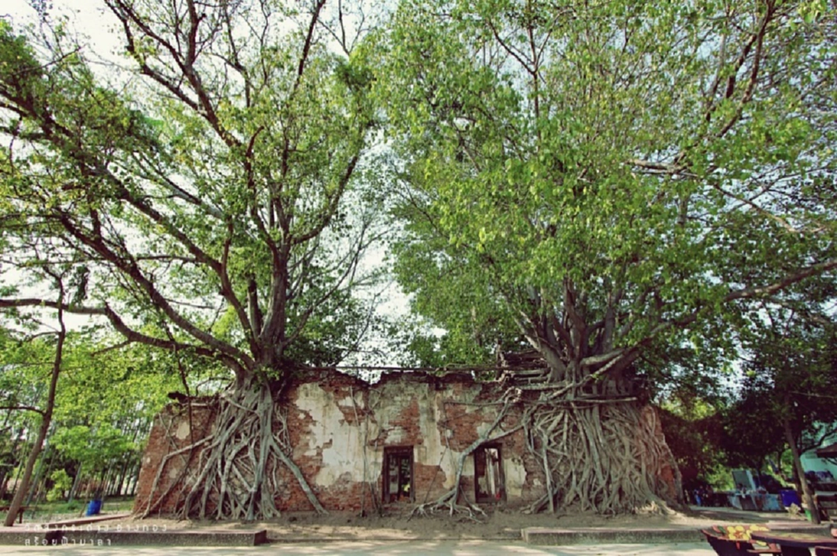 เผยที่มา ศาลนางไม้เจ้าจอม องค์หญิงจันทร์เจ้า ดวงวิญญาณศักดิ์สิทธิ์ ของสตรีผู้จับดาบรบ ณ วัดบางกุ้ง