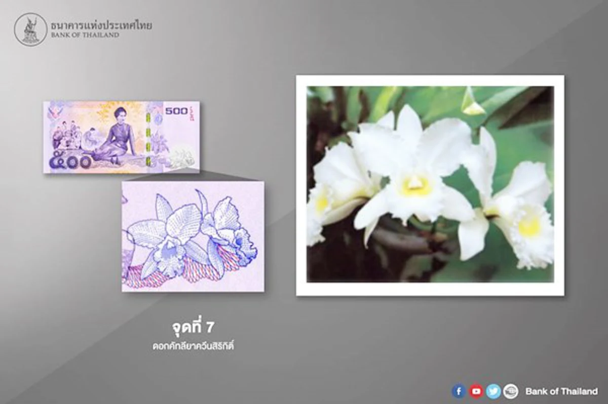 งานละเอียดจริงๆ!!! แบงค์ชาติเผยข้อมูลน่ารู้ กว่าจะมาเป็นธนบัตรที่ระลึก "อัคราภิรักษศิลปิน" ทรงคุณค่าให้สะสมกัน