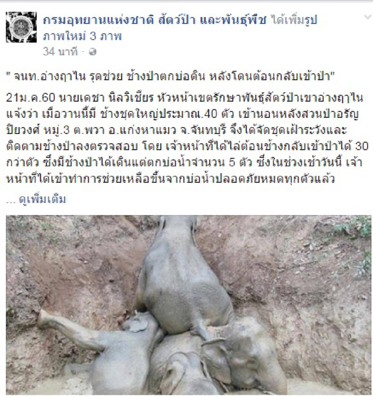 ชาวสวนเมืองจันสุดเหว๋อ!!ช้างตัวเป็นๆ 5 ตัว  ตกบ่อดินท้ายสวน เจ้าหน้าที่เร่งนำรถแบคโฮ มาลากขึ้น กลับสู่ป่าอย่างปลอดภัย