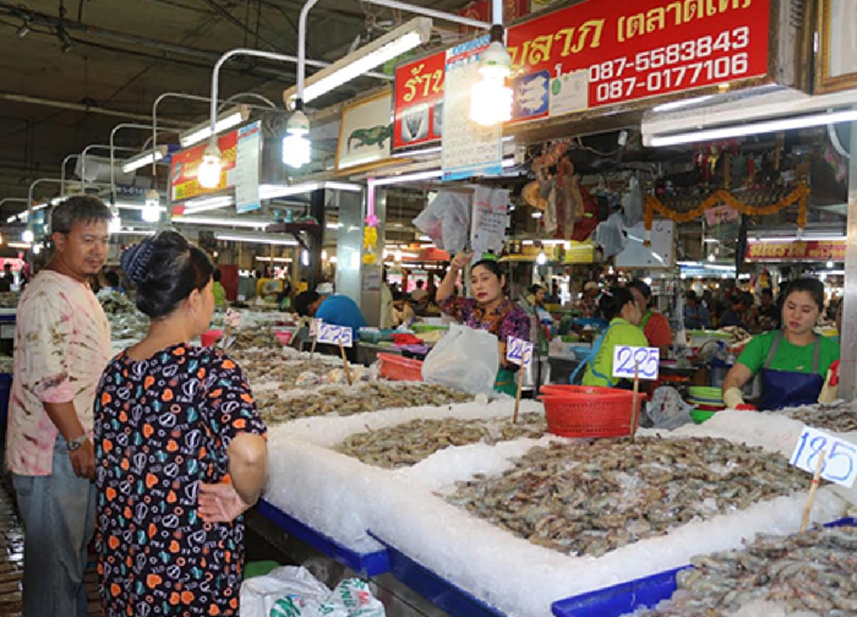 พ่อค้าแม่ค้าตลาดไทย ยัน!ไม่มียัดไส้ปลาหมึกแน่นอน ชี้!ปลาหมึกที่เห็นไม่ได้มาจากทะเลไทย