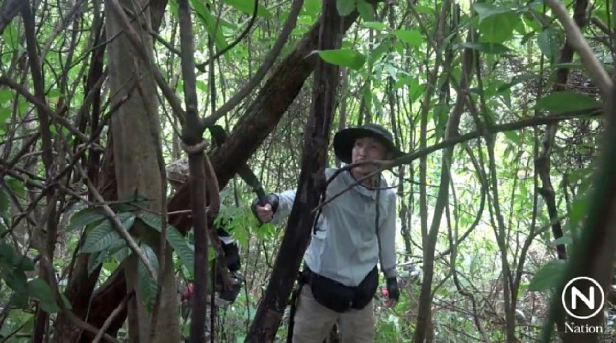 เป็นคนจริงต้องทำอะไรจริงจัง โจอี้บอย นำทีม น่าน-กลุ่มปลูกป่า ร่วมปลูกป่าระยะกว่า 3 กม. แก้ปัญหาป่าหัวโล้น 