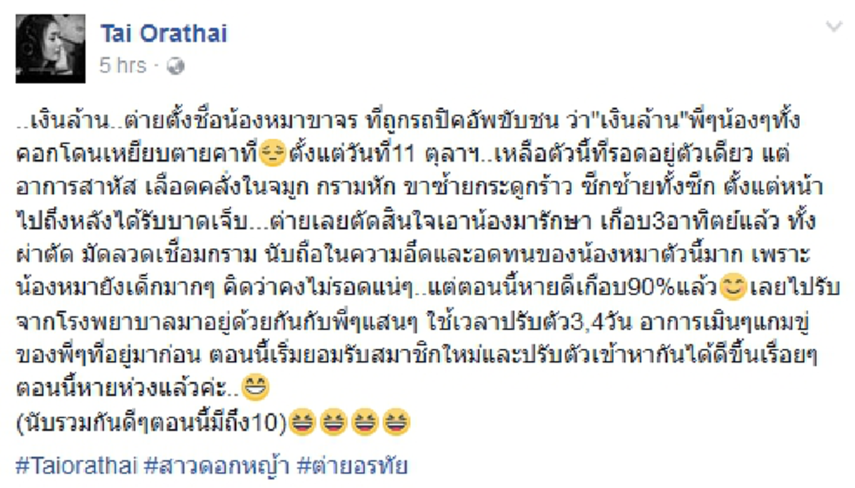 ราชินีดอกหญ้าต่าย อรทัย สวยเก่งแล้วยังใจบุญสุดๆ!! เก็บรักษาลูกหมาถูกรถชน!!  พร้อมตั้งชื่อสุดไพเราะ เจ้าเงินล้าน (ชมภาพ)