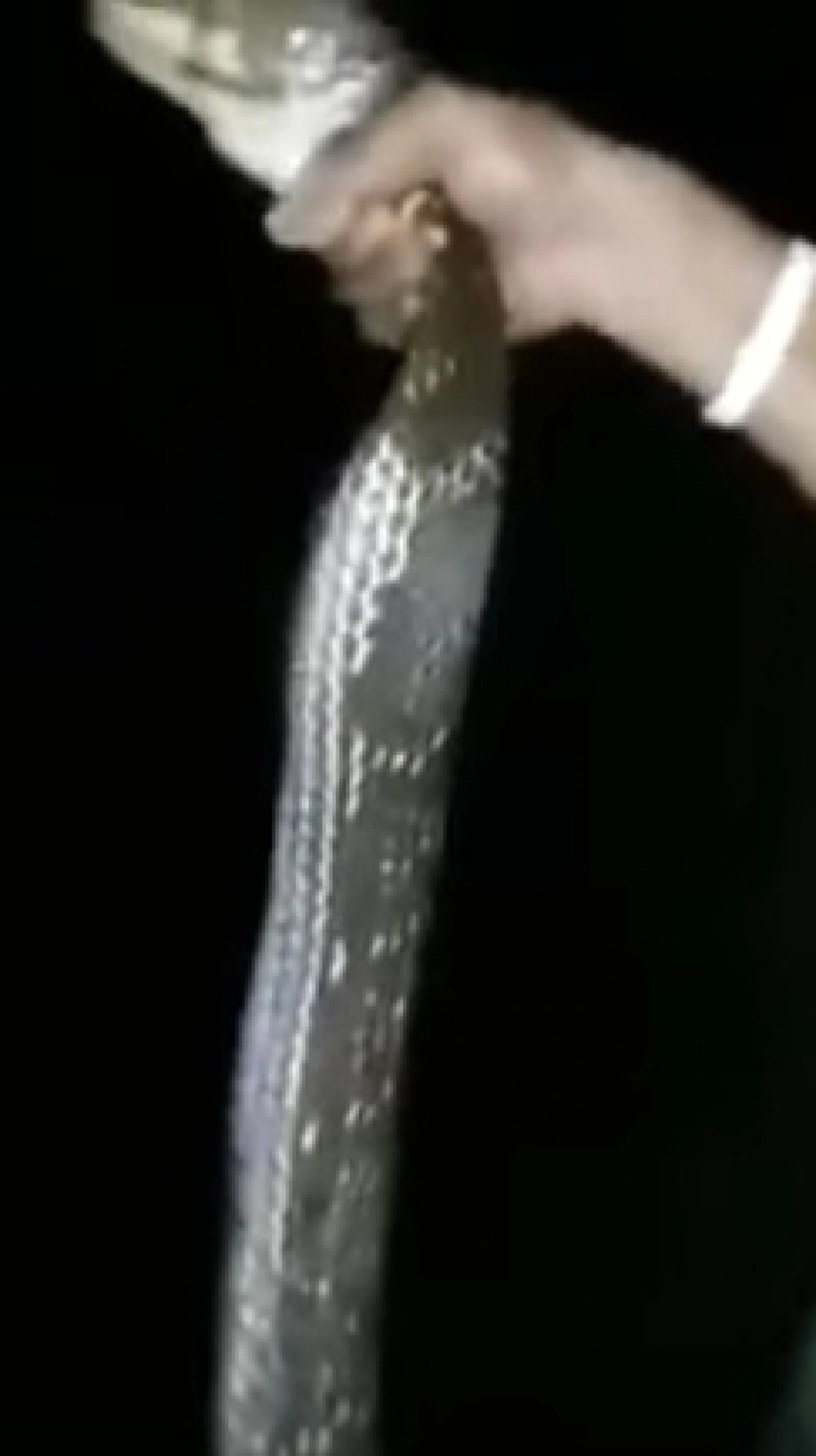 มัน..ใหญ่..มากส์ !!! หนุ่มนครศรีฯ โชว์จับงูจงอางยักษ์ ด้วยมือเปล่า ตัดสินใจปล่อยคืนสู่ป่า เพราะเชื่อเป็นงูเทวดา !?!  ( คลิป)