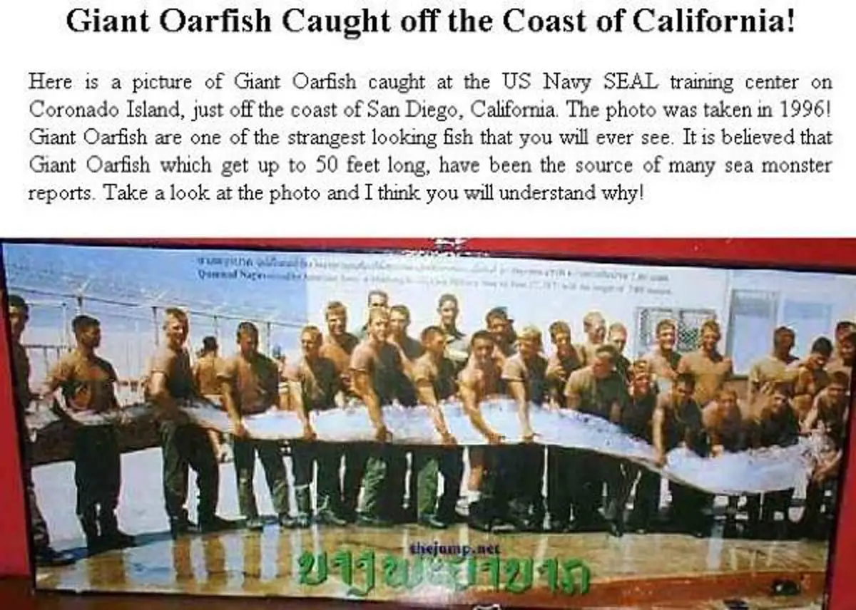 เลิกมโน ... ไม่ใช่พญานาคีในแม่น้ำโขง แต่เป็นปลาทะเลน้ำลึก สมญานาม ปลาแผ่นดินไหว เมื่อใดพบศพมันเมื่อนั้นเกิดภัยพิบัติ