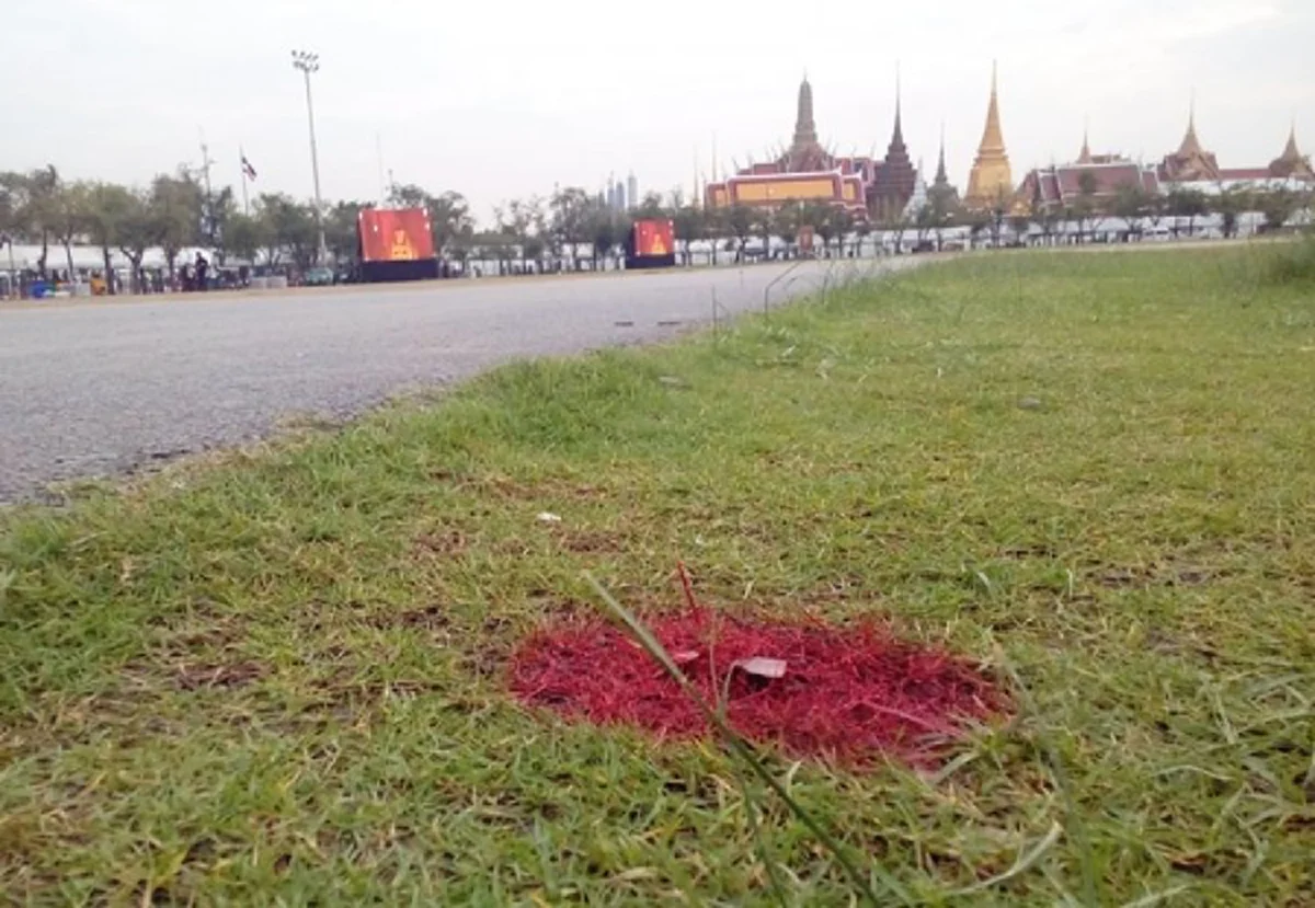 ทุกคืบหน้า..ยิ่งใจหาย!! กรมศิลป์มาร์คจุดแกนกลางสร้างพระเมรุมาศในพระราชพิธีถวายพระเพลิงพระบรมศพ
