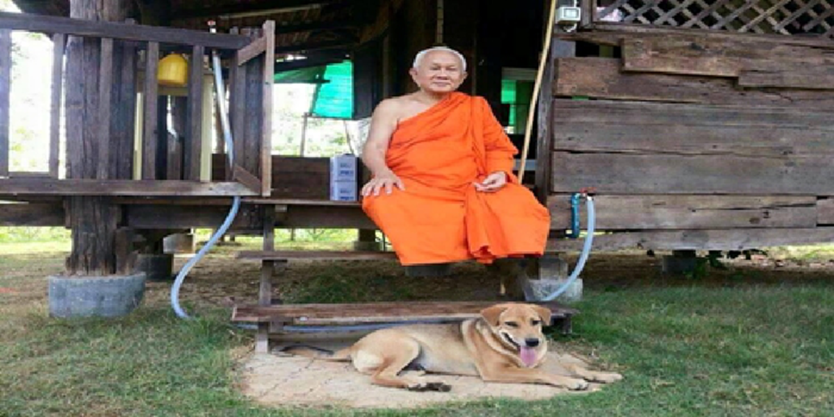 เปลว สีเงินเตือน!!!อย่าชี้นำให้สมเด็จพระพุทธโฆษาจารย์เข้าปราบ-กวาดล้างมหาเถรสมาคม ยกพระดีของแผ่นดิน ไม่ใช่พระนักบู๊ ??? 