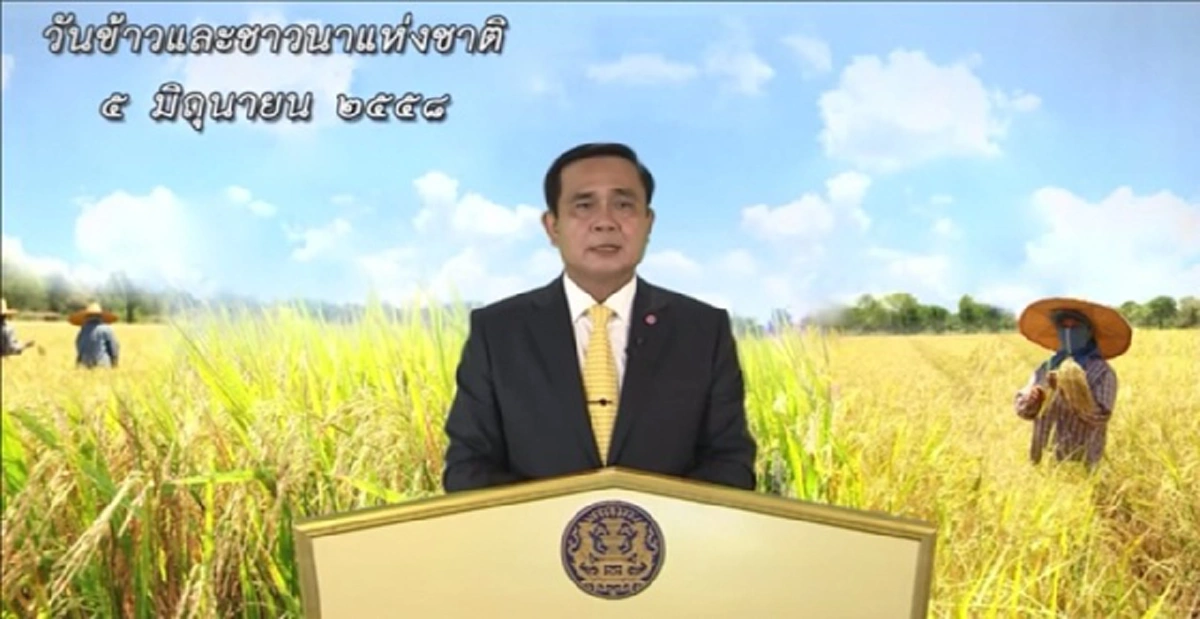 นักวิชาการยังชื่นชม!!! ทีดีอาร์ไอระบุ มาตรการรัฐช่วยชาวนา เดินมาถูกทางแล้ว ไม่เหมือนนโยบายจำนำข้าว เพราะมีขอบเขตและจำกัด