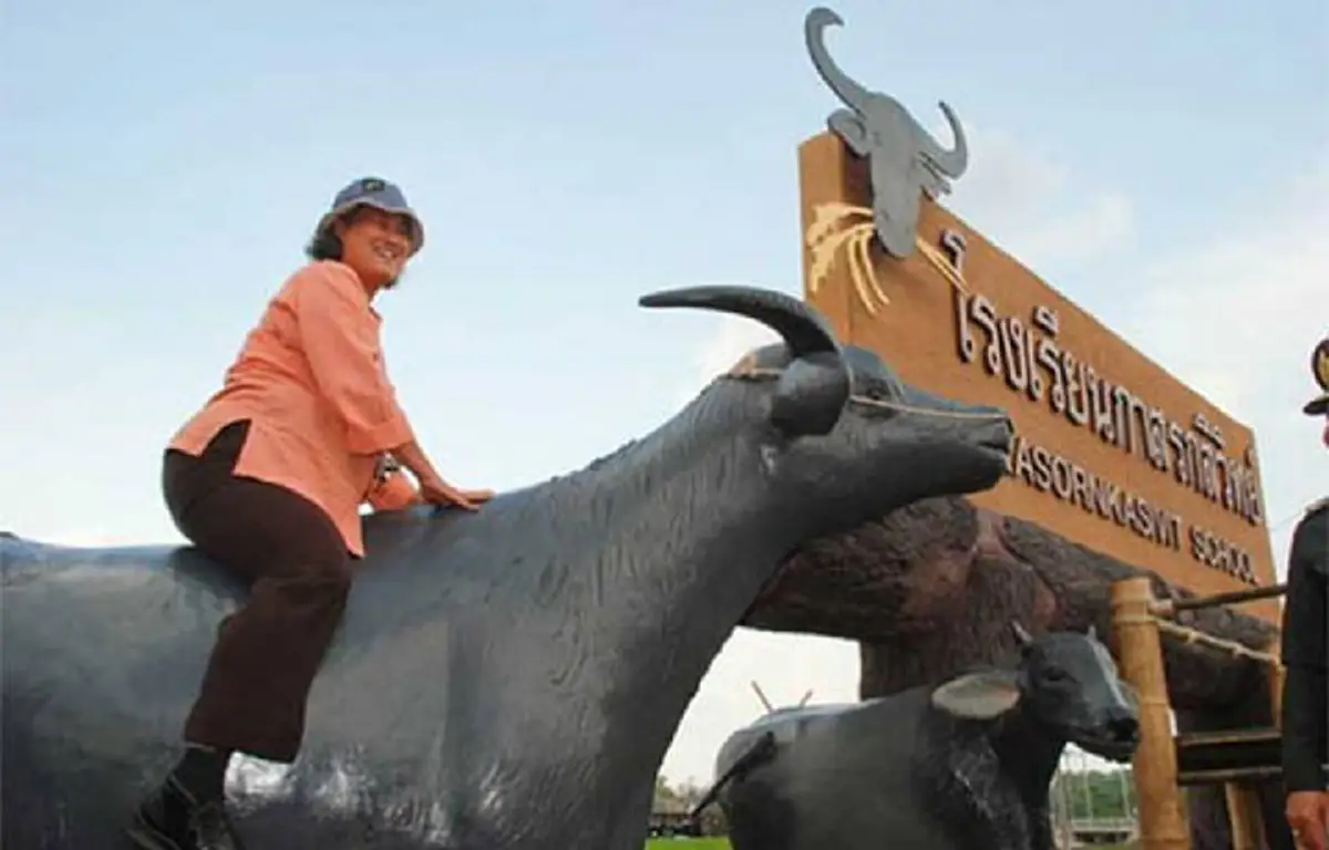 "เป็นบุญตาของกระหม่อมยิ่งนัก"สมเด็จพระเทพฯ(ทรงสีซอให้ควายฟัง)พิสูจน์ตามคำสุภาษิตโบราณด้วยพระอารมณ์ขันของพระองค์ผลที่ออกจะเป็นอย่างไร??(คลิป)