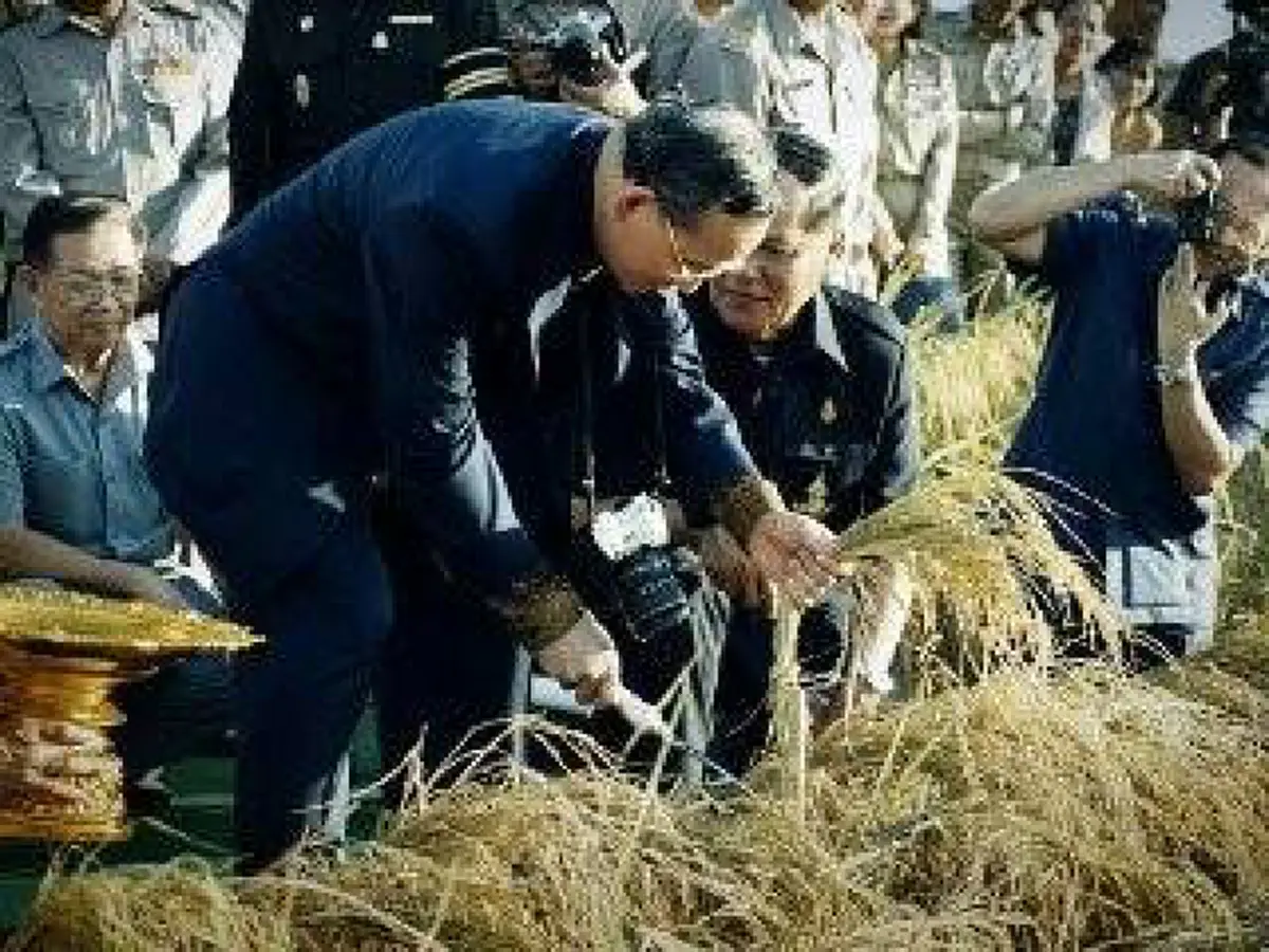 "ด้วยพระมหากรุณาธิคุณอันล้นพ้น" (ในหลวง ร.๙ )ทรงห่วงปัญหา ต่างชาติฮุบที่นาเกษตรกรไทย พระองค์ทรงมอบแนวทางพระราชดำริ"ขอให้หวงแหนที่ดินทำกิน"