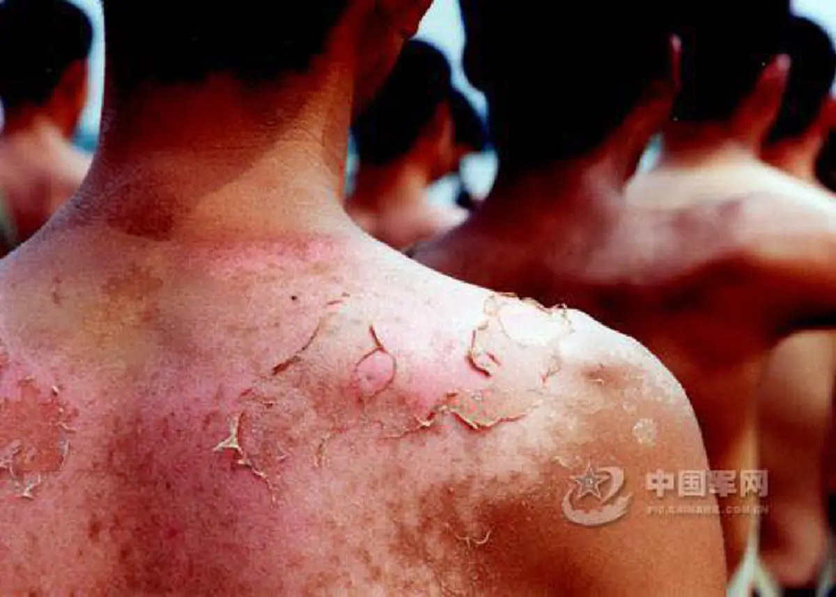 พวกโลกสวยดูไว้!! ชาวเน็ตแห่แชร์ภาพการฝึกทหารของต่างชาติ...ซัด"ก่อนจะด่าควรหาข้อมูลด้วย"(ชมภาพ+รายละเอียด)