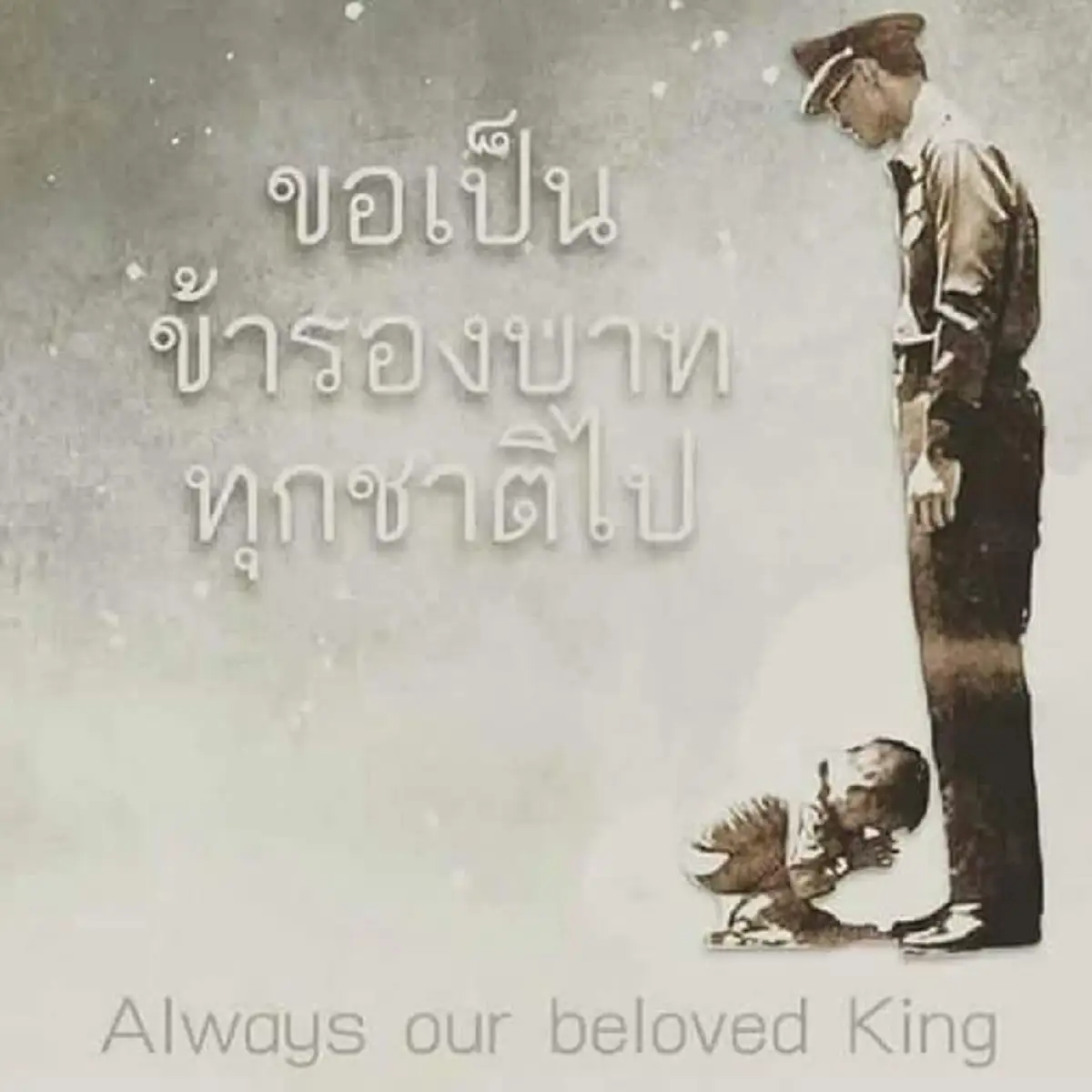 เหตุผลอันงดงาม 6 ประการของการปฏิญาณตน "ขอเป็นข้ารองบาททุกชาติไป" ขอพึ่งบารมีพระโพธิสัตว์ ดลบันดาลให้ชีวิตเจริญงอกงาม 