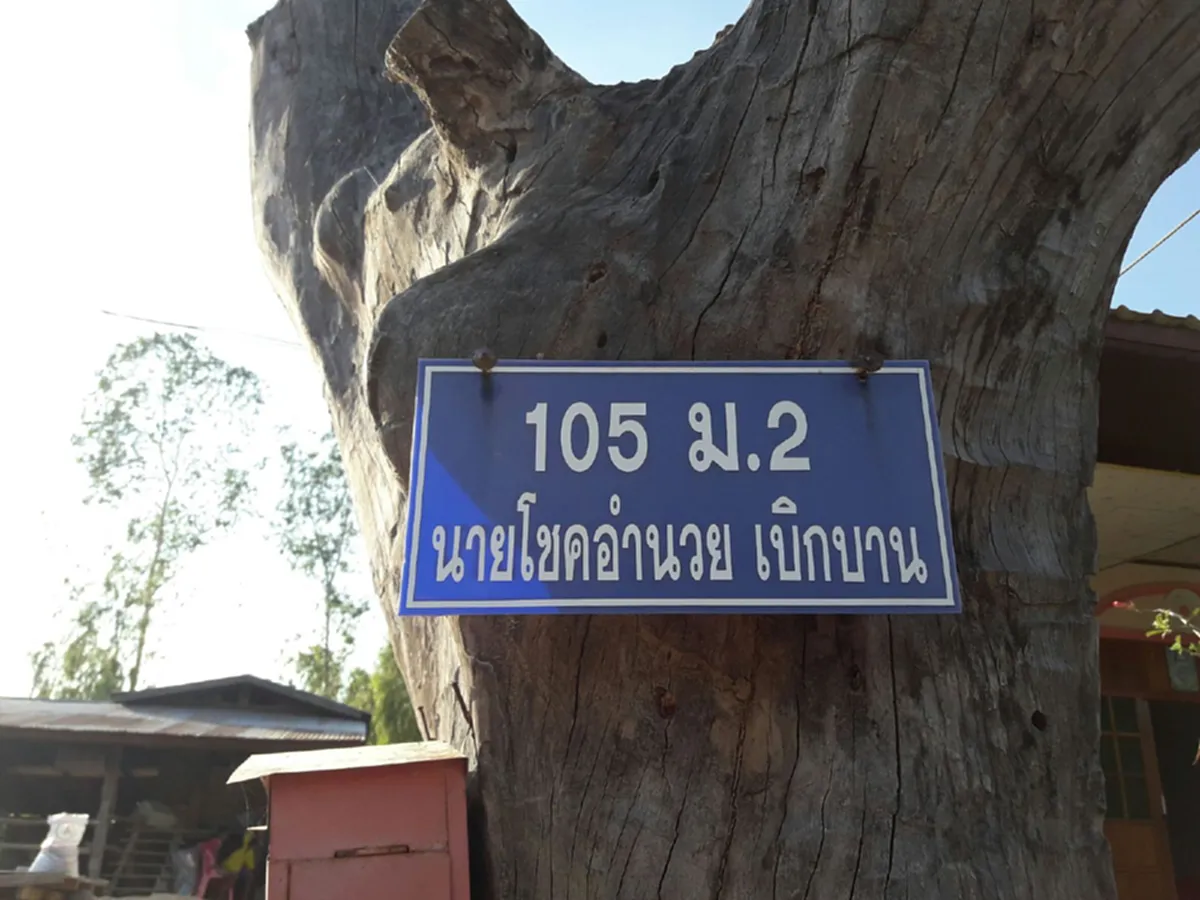 ชาวบ้านเมืองช้างพากันหลั่งไหลแห่เข้ามาดูลูกควายหน้าตาประหลาดที่เพิ่งคลอด!!โดยเฉพาะคอหวยมาขอโชคลาภนำไปเสี่ยงโชคกันคับคั่ง