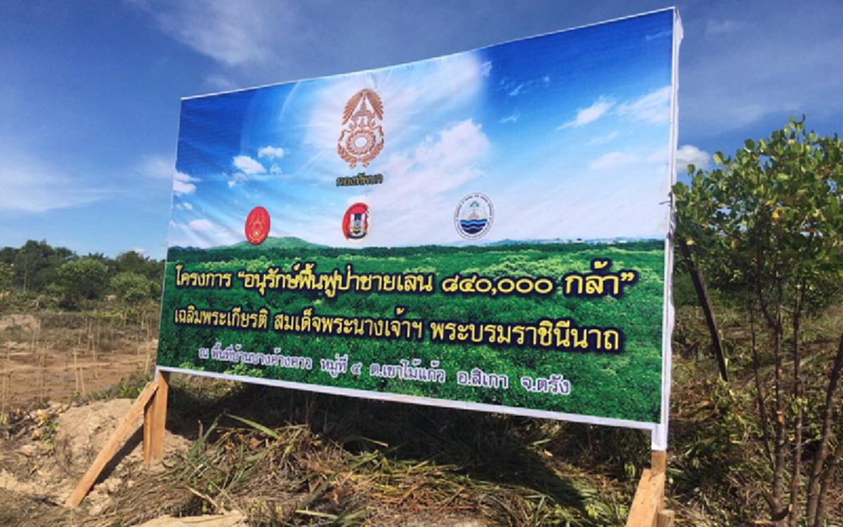 นักอนุรักษ์โวย!!  สภาพป่าชายเลนบางค้างคาว เขาไม้แก้ว จ.ตรัง ล่าสุดเป็นแบบนี้ บอกเลยเห็นภาพแล้วเกินจะรับได้