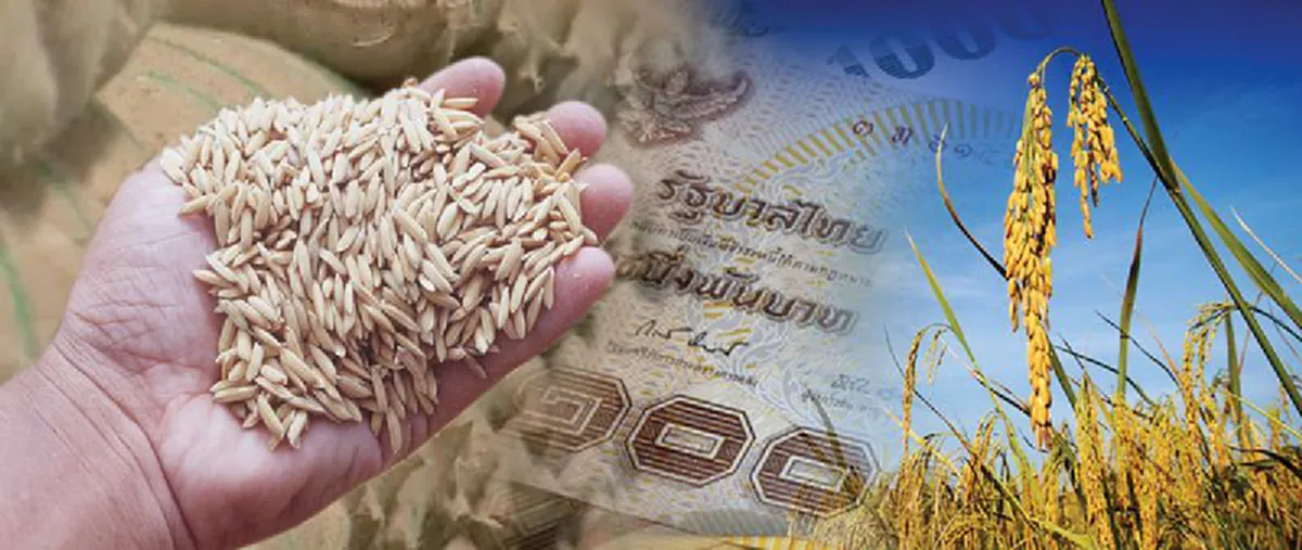 ข้อเท็จจริงทนโท่...ลูกหลานไทยก็จำไว้ !!! เปิดผลงานโบว์ดำ "รัฐบาลปู"ก่อหนี้ปท.ไว้ขนาดไหน ทำไมก.คลังถึงบอกอีก 18 ปีถึงชดใช้หนี้จำนำข้าวหมด??  