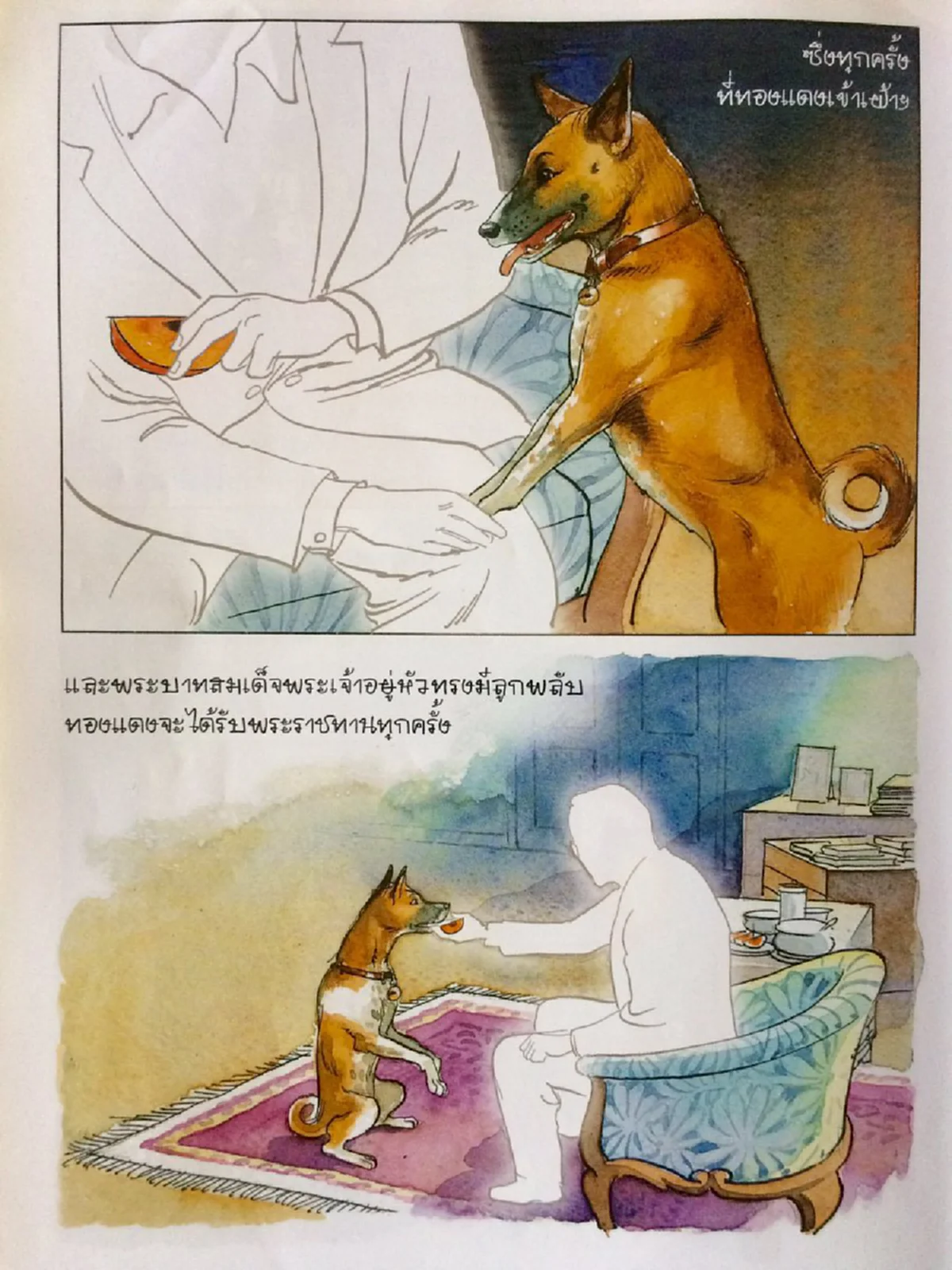 เปิดเรื่องราวประทับใจ!!"คุณทองแดง"สุนัขทรงเลี้ยง งอน พระบาทสมเด็จพระเจ้าอยู่หัวภูมิพลอดุลยเดชฯเพราะนึกว่าองค์พ่อหลวงจะรักสุนัขตัวอื่นมากกว่า