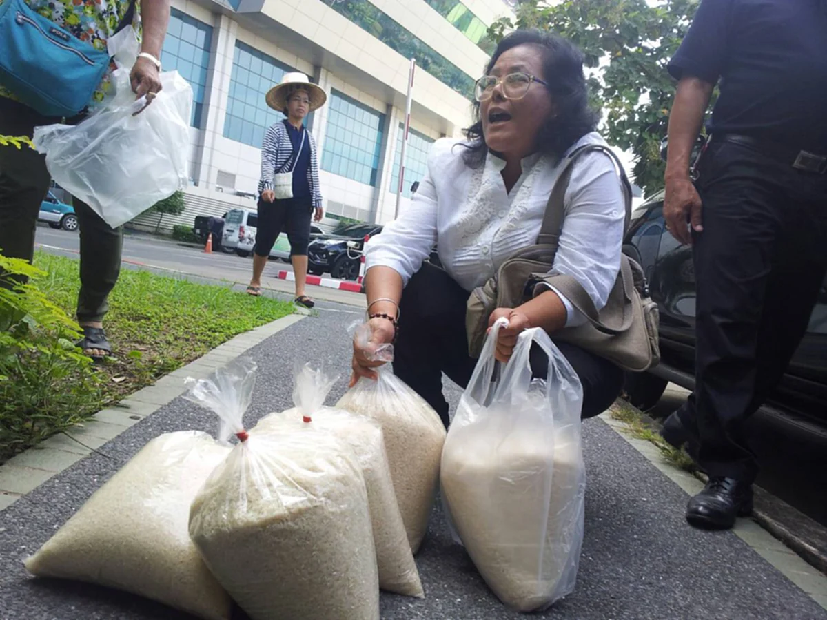 ไม่มีหรอกยอมแพ้!!! "ยิ่งลักษณ์" ยันใช้สิทธิ์ใต้กรอบกม.สู้คดีจำนำข้าว รับดูอยู่ฟ้องกลับเหน็บอย่าเหวี่ยงแหเอาผิดเรียกชดใช้เสียหายอีก 80% !??!