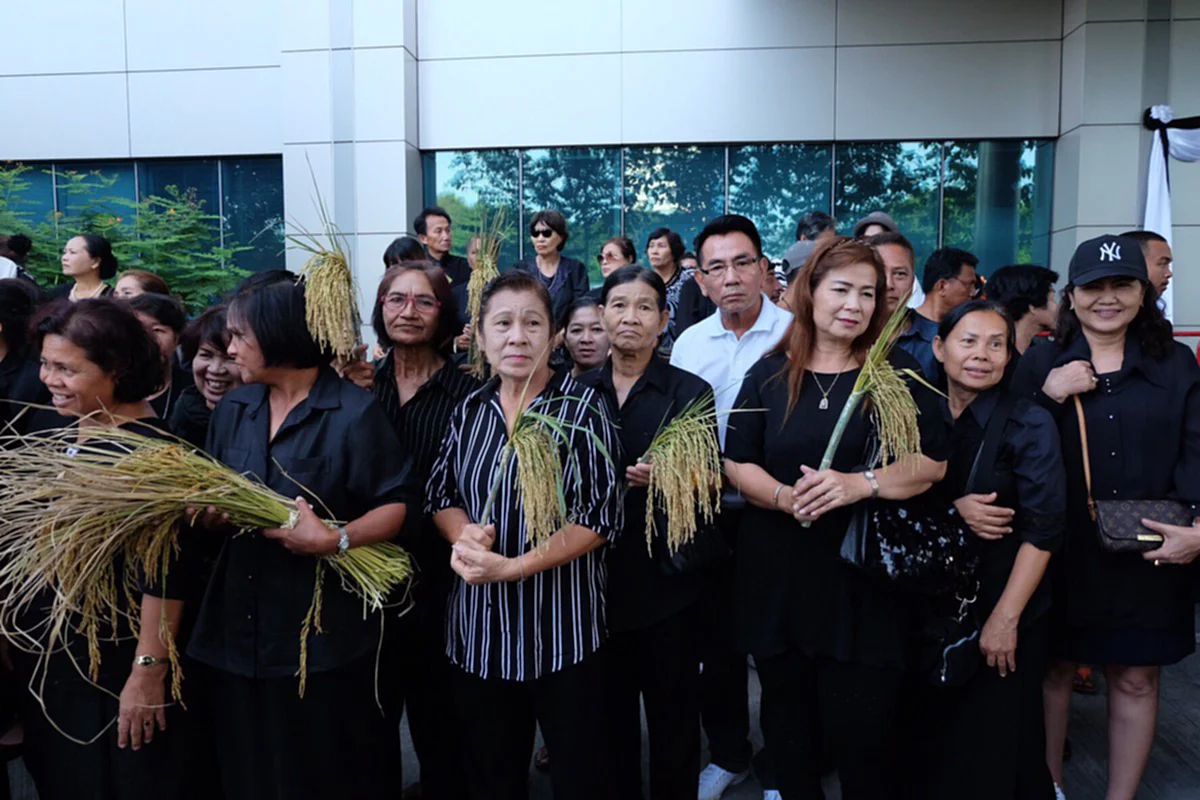 ไม่มีหรอกยอมแพ้!!! "ยิ่งลักษณ์" ยันใช้สิทธิ์ใต้กรอบกม.สู้คดีจำนำข้าว รับดูอยู่ฟ้องกลับเหน็บอย่าเหวี่ยงแหเอาผิดเรียกชดใช้เสียหายอีก 80% !??!