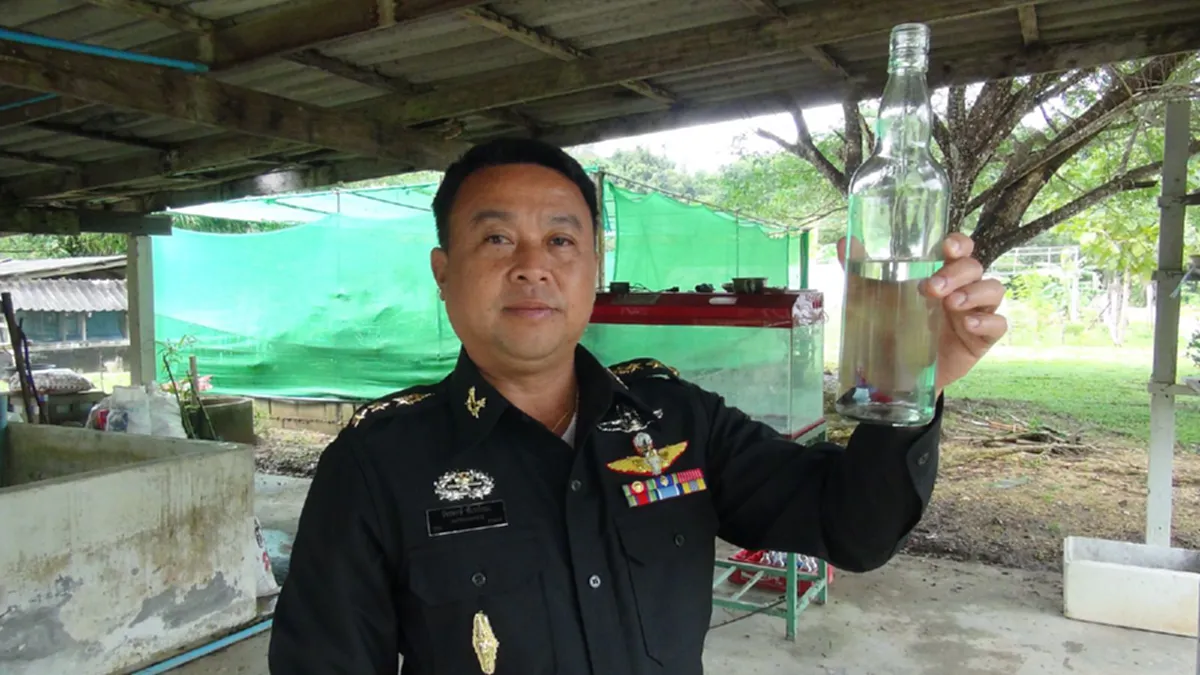 น้อมนำพระราชดำริ !!นพค.45 สตูลเปิดพื้นที่ศูนย์การเรียนรู้ เรื่องหญ้าแฝกหลากหลายสายพันธุ์ในโครงการพระราชดำริในหลวงรัชกาลที่ ๙(มีคลิปข่าว)