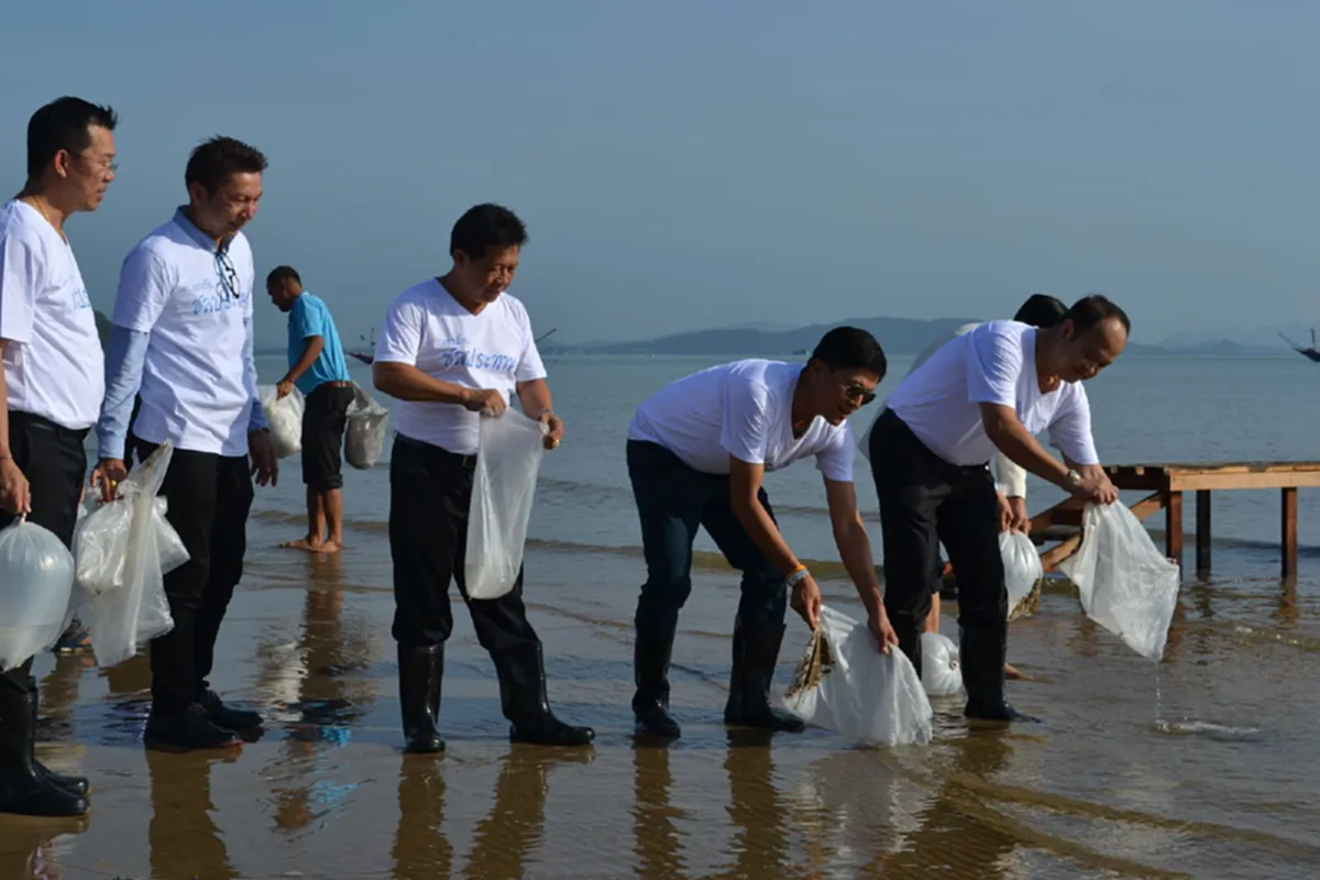 รองอธิบดีกรมชลฯ  เปิดงาน คืนชีวิตสู่ทะเล เฉลิมพระเกียรติ 84 พรรษา พระราชินี
