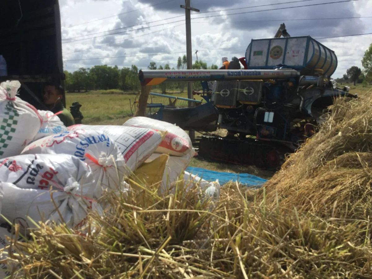 รวมพลังร้อยดวงใจถวายพ่อ!!  ชาวนาบ้านแก นำข้าวหอมมะลิ 35 ตัน มอบท้องสนามหลวง เพื่อถวายเป็นพระราชกุศล