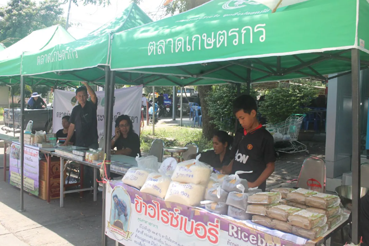 รวมพลังช่วยชาวนา!!ประชารัฐรักสามัคคีกรุงเก่า จับมือ ห้างดัง เปิดโครงการ สานพลัง น้ำใจไทย ช่วยชาวนา หนุนนโยบายรัฐ ให้พื้นที่ชาวนาขายข้าวฟรี