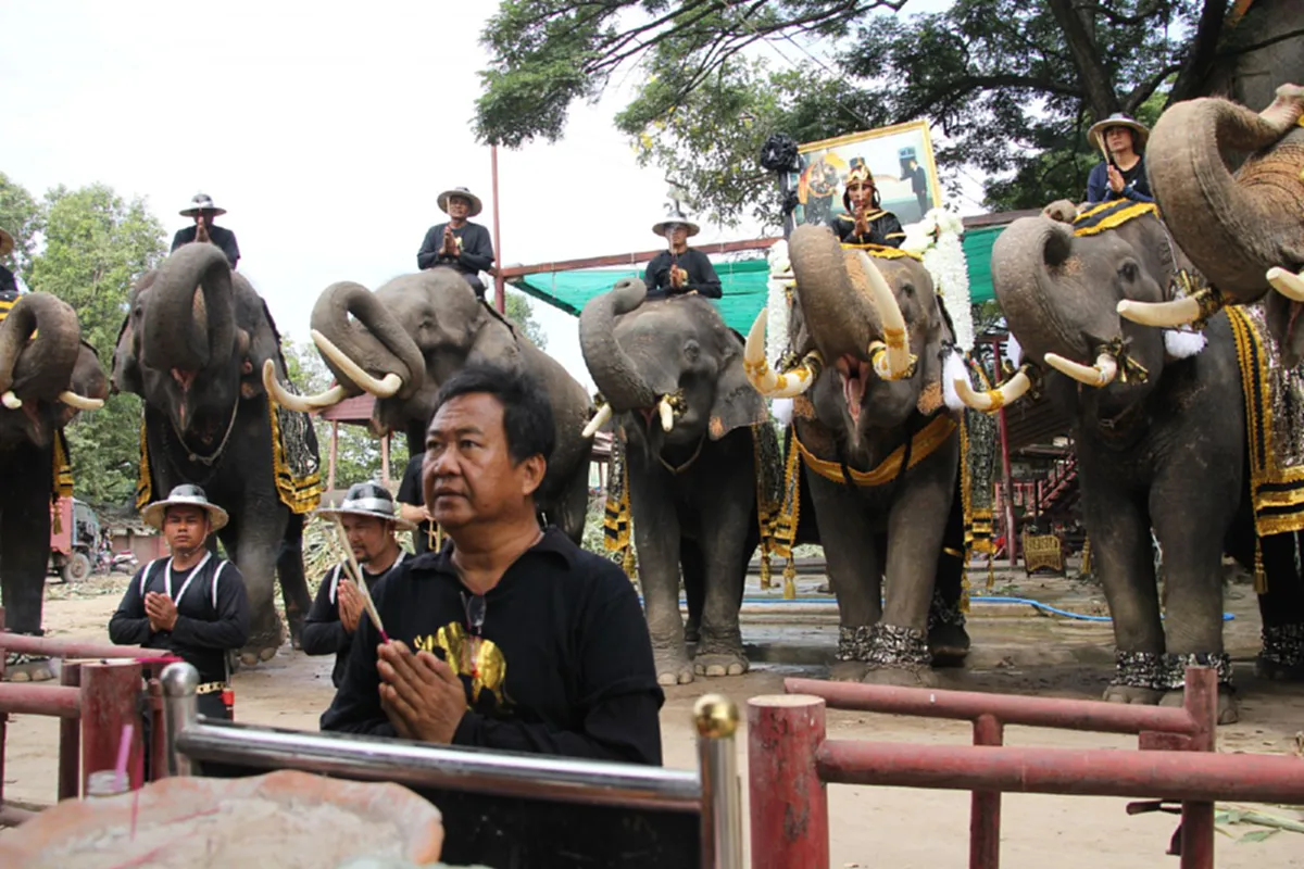ด้วยใจภักดิ์!! ช้างกรุงเก่า 10 เชือก ซ้อมใหญ่เสมือนจริง ก่อนเข้ากทม. ถวายอาลัย "ในหลวง ร.9"