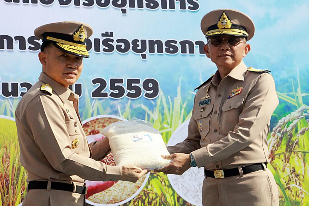 ทหารเรือมาแล้ว!!!กองเรือยุทธการรับซื้อข้าวจากชาวนาเพื่อบรรเทาความเดือดร้อน!!พร้อมนำข้าวมอบเป็นของขวัญปีใหม่ให้กำลังพล