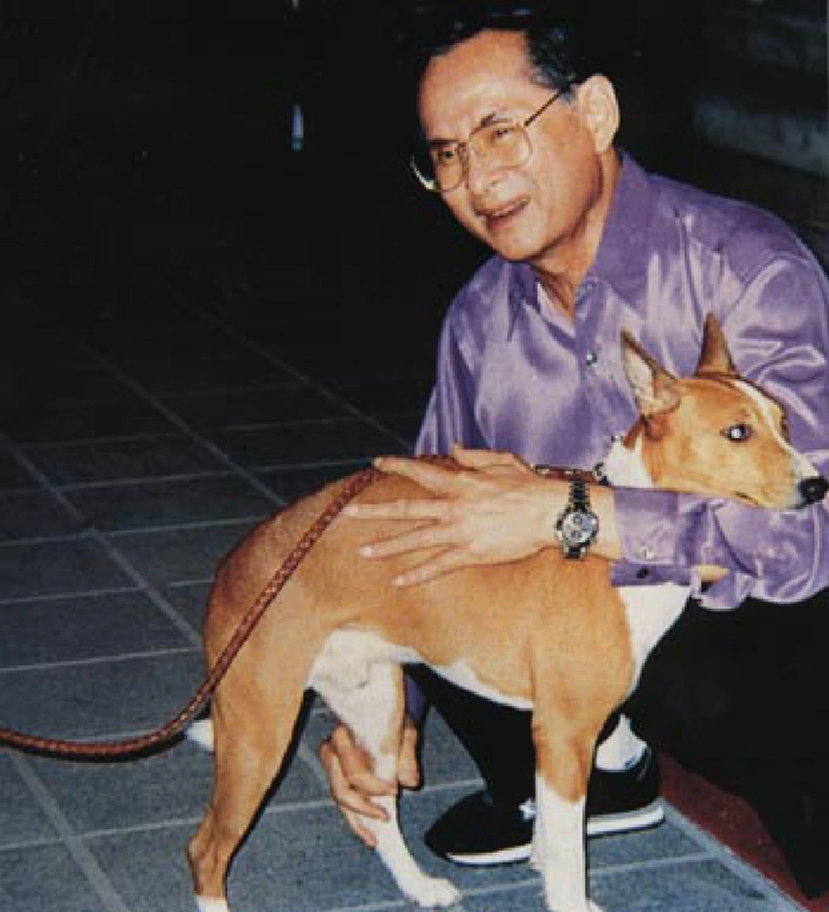 ตามรอยพระบรมราโชวาท ร.9 เพจดัง รณรงค์เลี้ยงสุนัขพันทาง ร่วมโชว์รูปน้องหมาพันทาง เผยคลิปหาชมยาก ร.9 ทรงเล่นกับสุนัขทรงเลี้ยง (มีคลิป!)