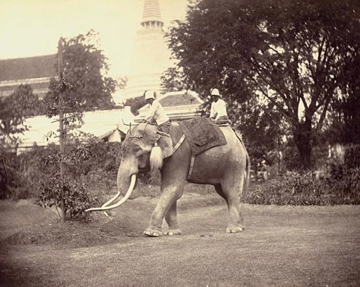 ได้เห็นเป็นบุญตา หาชมยาก!...ภาพสมัยรัชกาลรัชกาลที่4 - รัชกาลที่ 5 