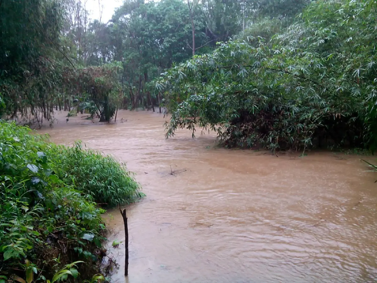 ด่วน!! ฝนตกหนักต่อเนื่องเมืองนครฯ ทม.ยกธงเหลืองแล้ว-น้ำจากเขาหลวงไหลหลากเข้าพท.3 ต.รับน้ำ หวั่นท่วมระลอก3 เตือนปชช.รับมือ(ชมคลิป)
