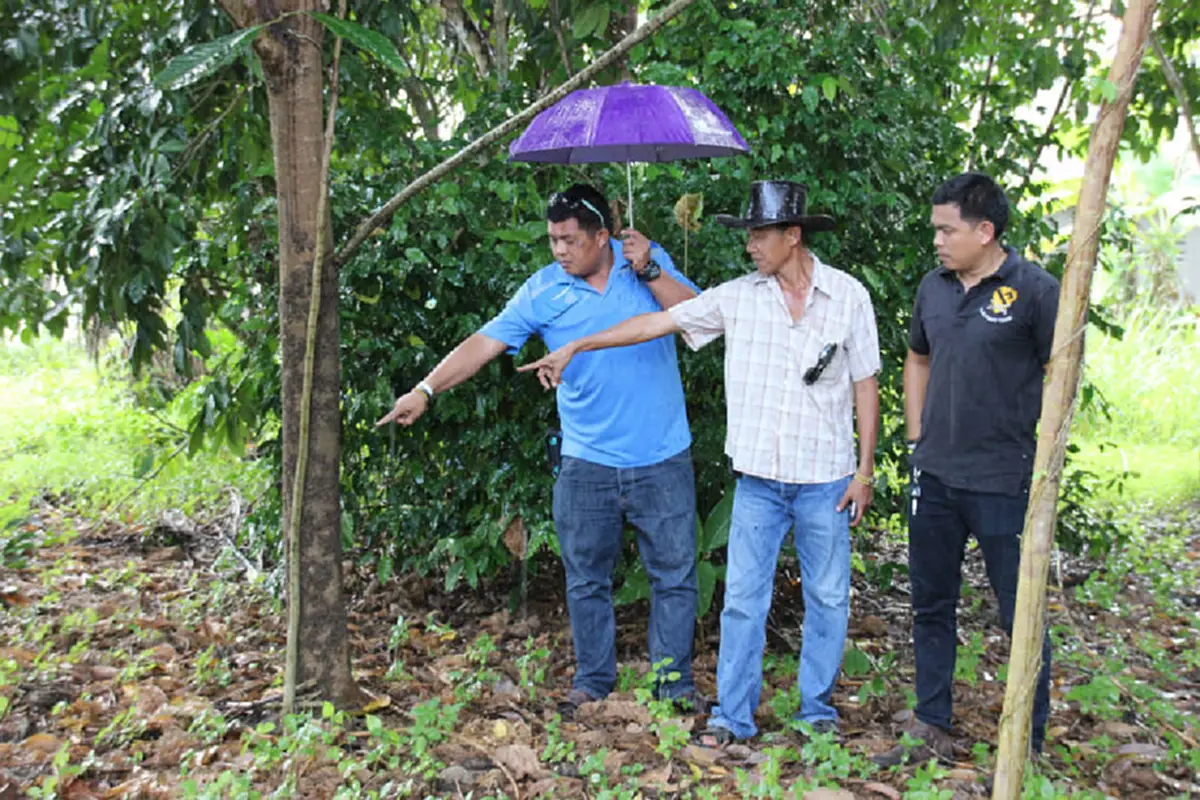 อ้วกจะแตก!!! ฝนตกนั่งอยู่ในบ้านดีๆ สาวใหญ่พังงาเกิดอาการคันคะเยอ เดินออกไปนอกบ้านถึงกับผงะพบกองทัพหนอน!!??!!