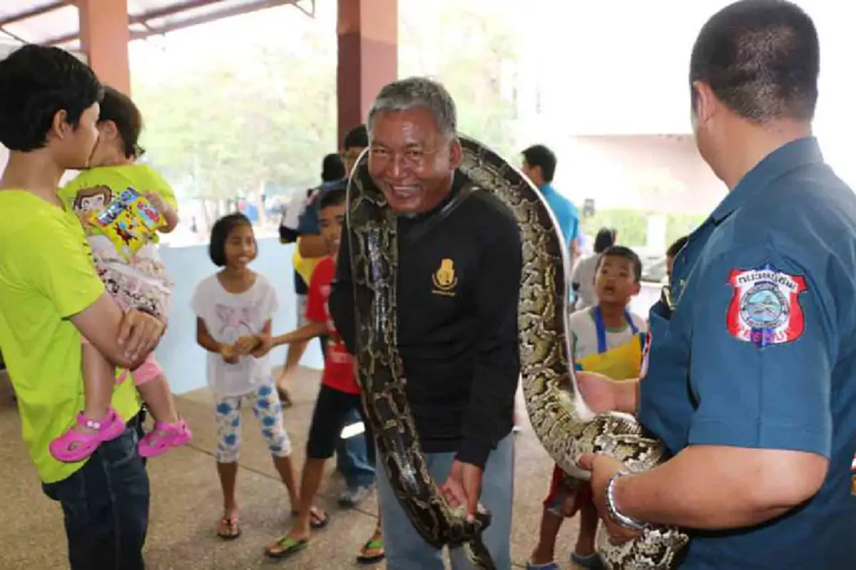 รักเหมือนลูกในไส้!!!  ป้าวัย 60 ประกาศตามหา "น้องพราย" งูหลามยักษ์สุดหวง หายออกจากบ้าน ใครพบมีรางวัลให้อย่างงาม!!!