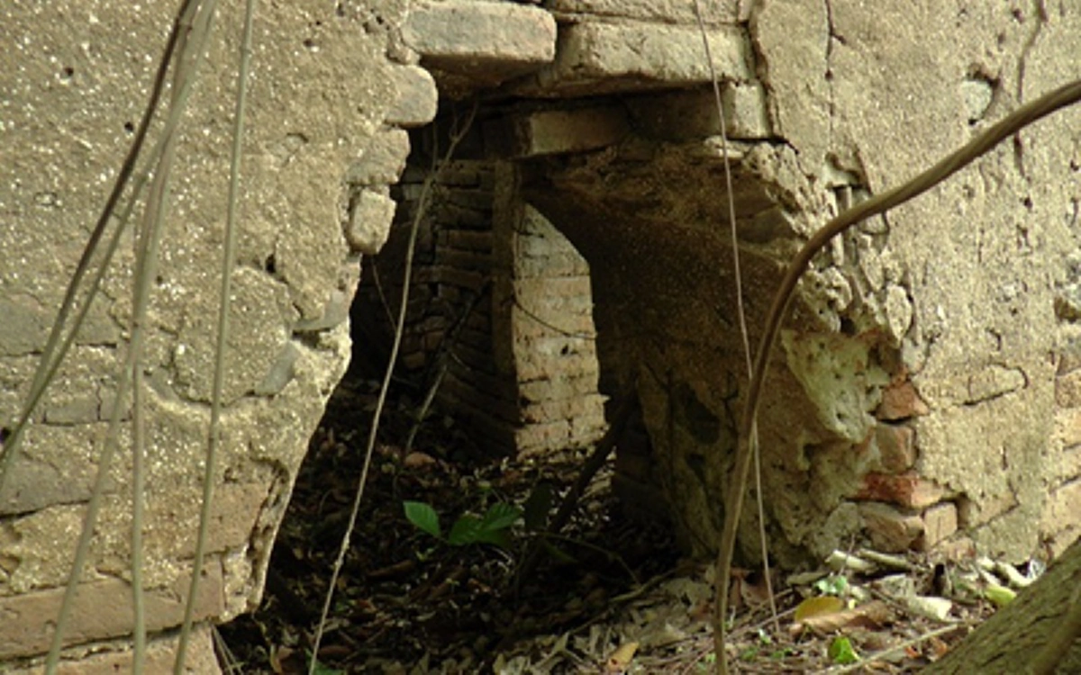 OMG!! พบวัดร้างอายุหลายร้อยปีซุกกลางดงไม้เขตรอยต่ออ่างทอง-อยุธยา สุดสลด! เมื่อเจอพระพุทธรูปสถาพแบบนี้