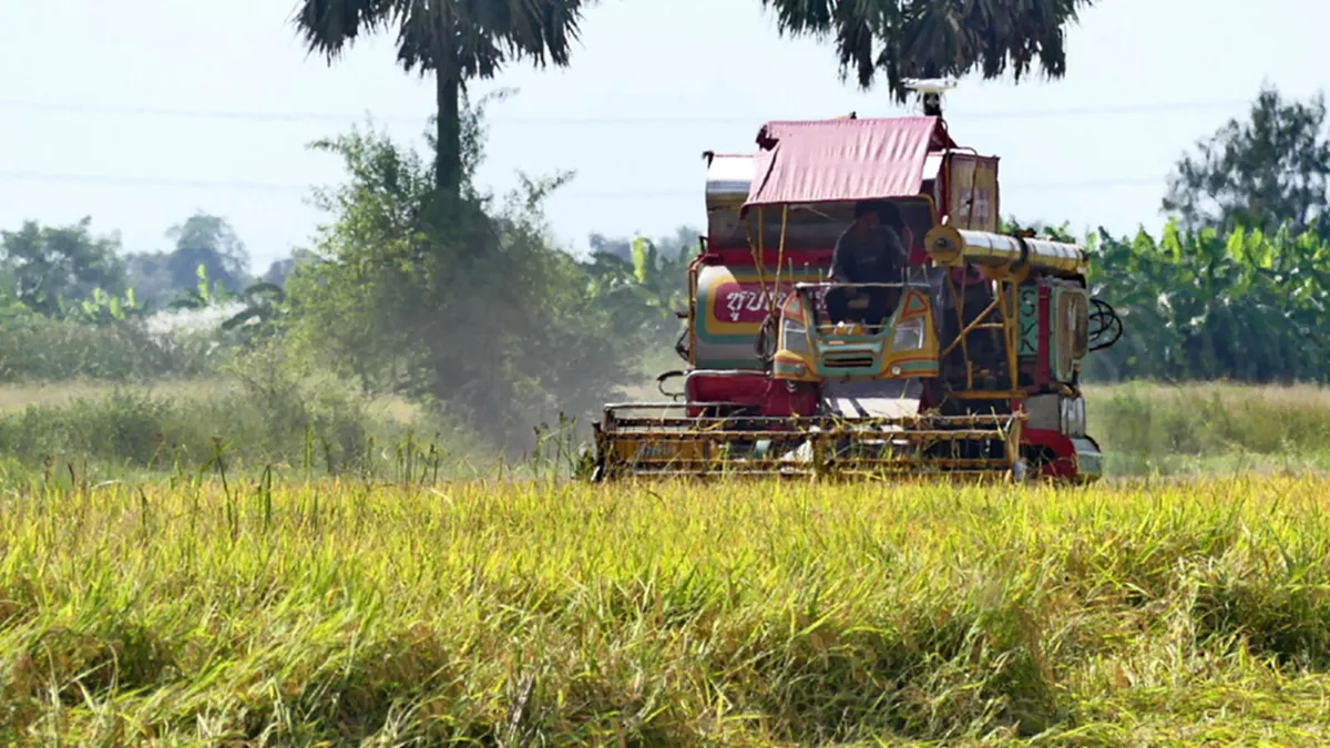 รัฐบาลต้องฟัง!! เสียงสะท้อนชาวนา ทำไมยอมขายข้าวให้โรงสี แม้ได้ราคาต่ำ จนแทบไม่พอยาไส้ ได้ยินแล้วน้ำตาไหล สงสารจับใจ!! 