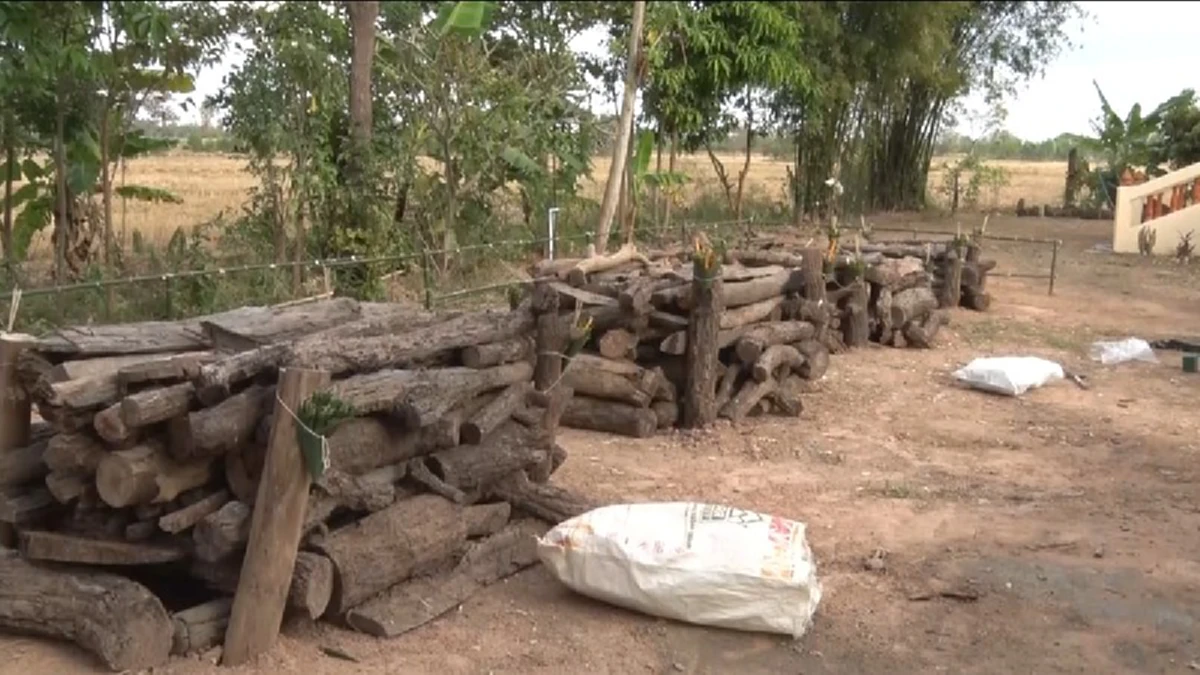 หดหู่ใจเป็นที่สุด!! ชาวบ้านช่วยกันก่อกองฟอนเเบบโบราณ เตรียมฌาปนกิจ 4พ่อเเม่ลูกชาว"ศรีสะเกษ" เหยื่อรถตู้มรณะ 