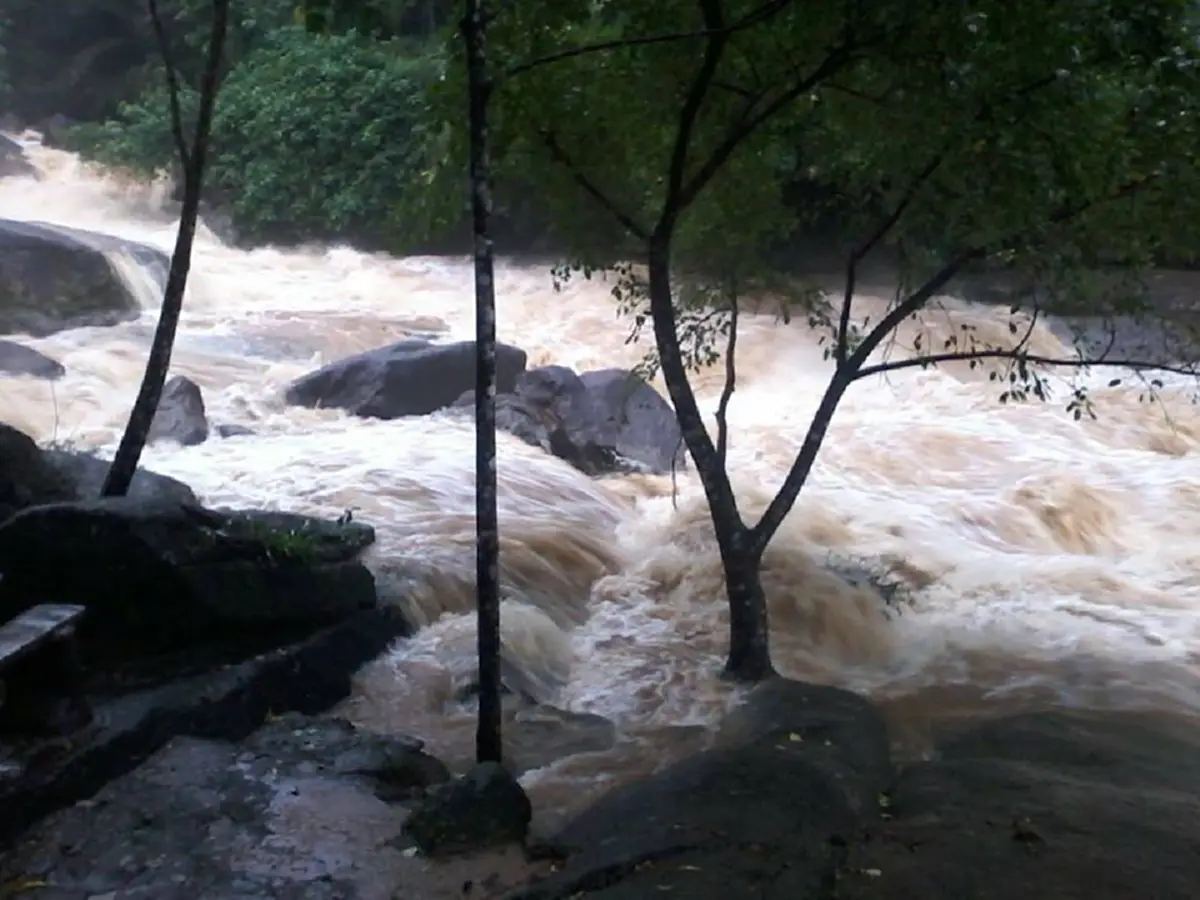 ด่วน!! ฝนตกหนักต่อเนื่องเมืองนครฯ ทม.ยกธงเหลืองแล้ว-น้ำจากเขาหลวงไหลหลากเข้าพท.3 ต.รับน้ำ หวั่นท่วมระลอก3 เตือนปชช.รับมือ(ชมคลิป)