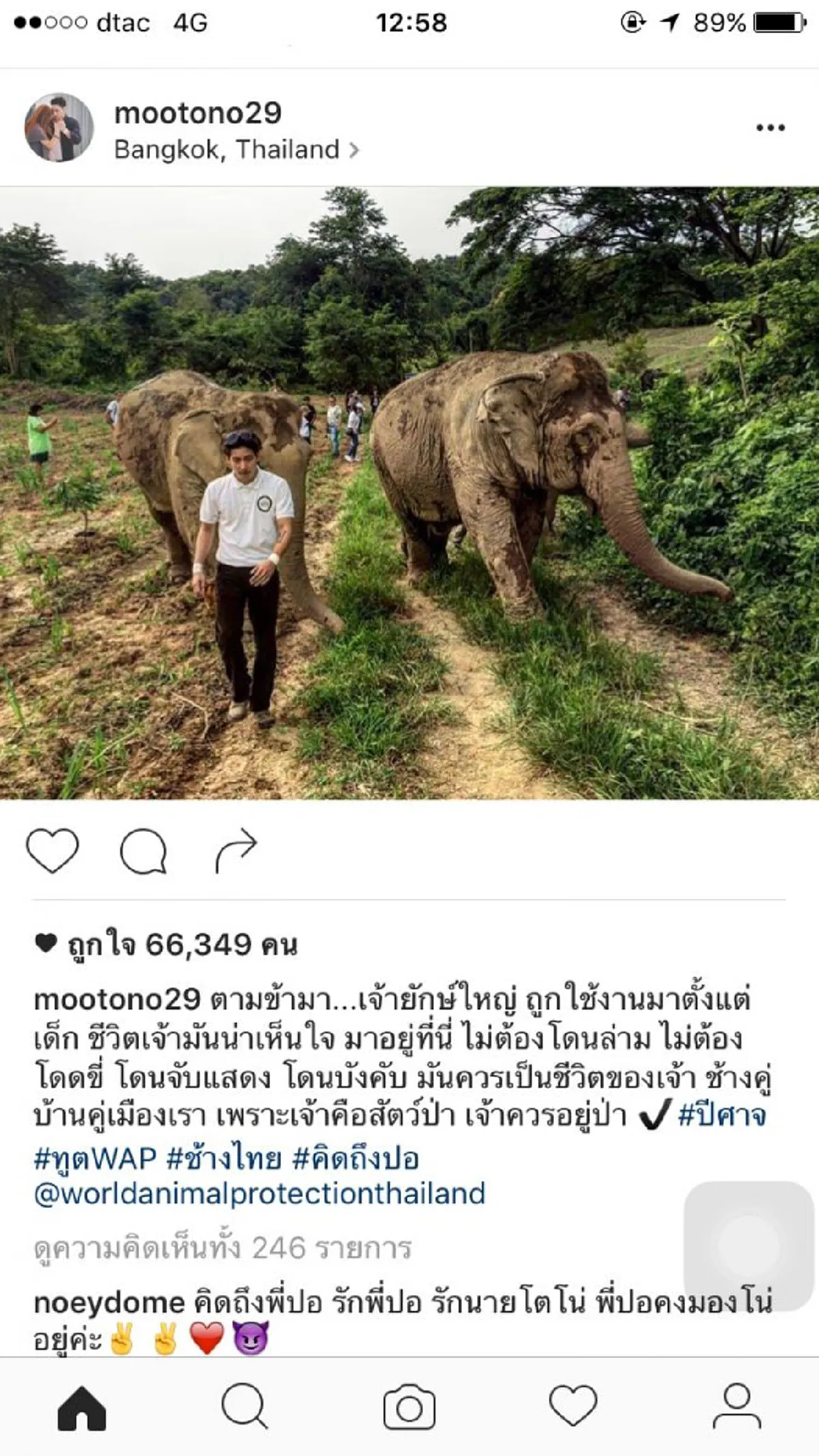 คืนความสุขให้ช้าง!! "โตโน่" ทูตพิทักษ์สัตว์โลก เดินหน้าช่วยช้างถูกทรมาน สานต่อเจตนารมย์ "ปอ ทฤษฎี" (มีภาพ)
