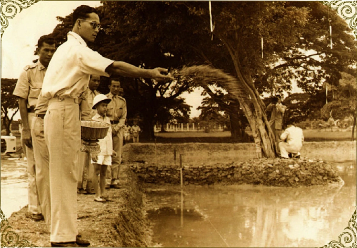 "บ้านของพ่อ" ... หนึ่งเดียวในโลก "วังสวนจิตรลดา"ที่ประทับมหากษัตริย์แท้ๆแต่มองไปทางไหนเห็นแต่บ่อปลา ท้องทุ่งไร่นาเกษตรผสมผสาน