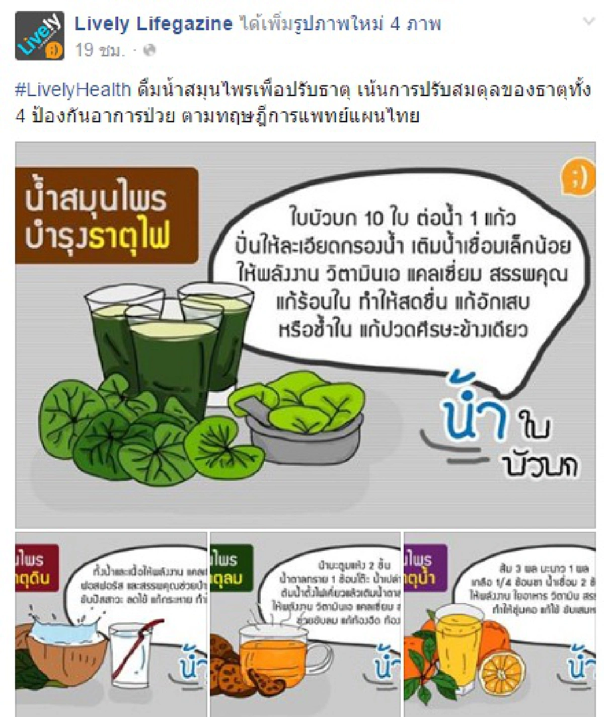 เพื่อธาตุทั้ง4!! รู้หรือยังดื่มสมุนไพรใด เหมาะกับธาตุในร่างกายเราที่สุด???