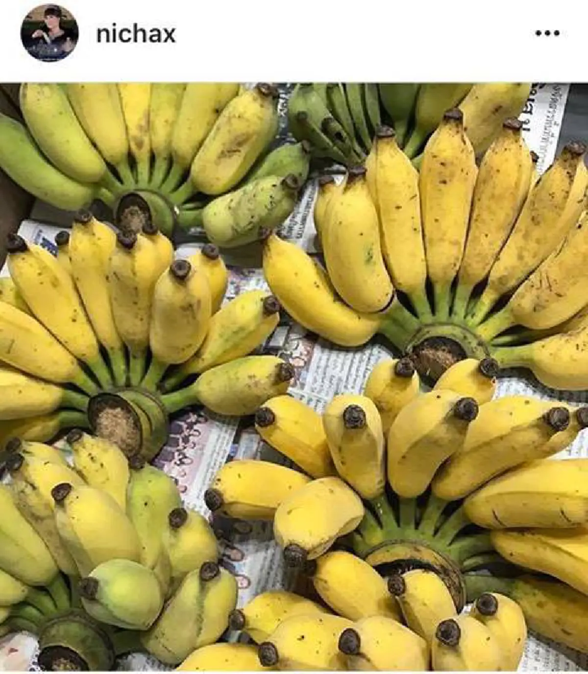 ขอบใจนะ... "ทูลกระหม่อมหญิงอุบลรัตนฯ" ทรงโพสต์ภาพกล้วยน้ำว้าของฝากสรยุทธ พร้อมตรัสชมความหอมหวานนี้... #ขอทรงพระเจริญ