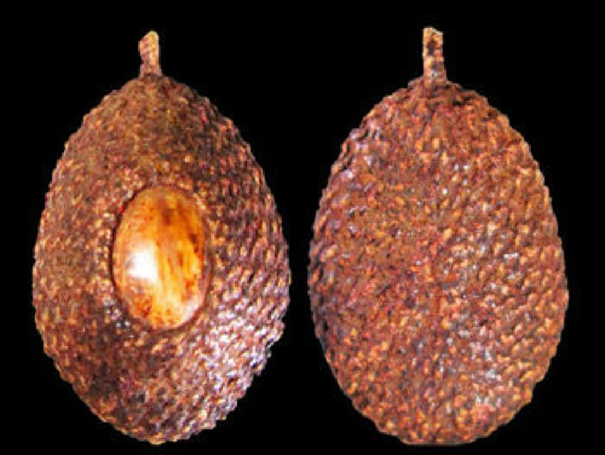 ของขลัง