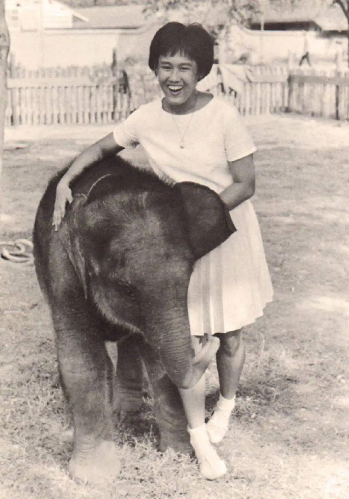 ทราบไหมว่า?  "ป้าช้าง" นามแฝงสุดน่ารักของสมเด็จพระเทพฯ นั้น สมเด็จพระบรมโอรสาธิราช ทรงเป็นผู้คิดเรียกเป็นองค์แรก...