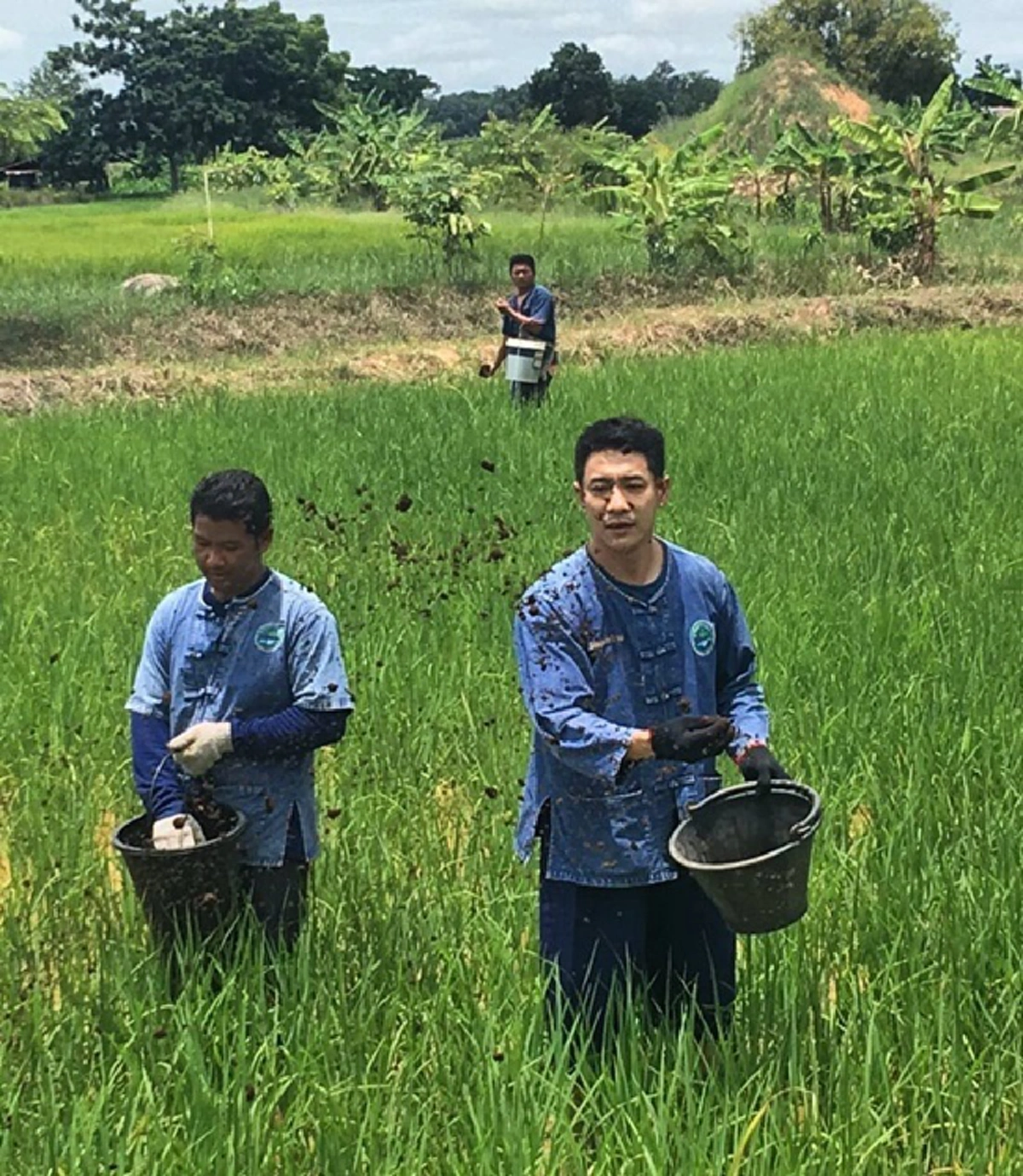 เมื่อ บอย พิษณุ!...ลุยท้องนา... เดินตามรอยพ่อของแผ่นดิน...