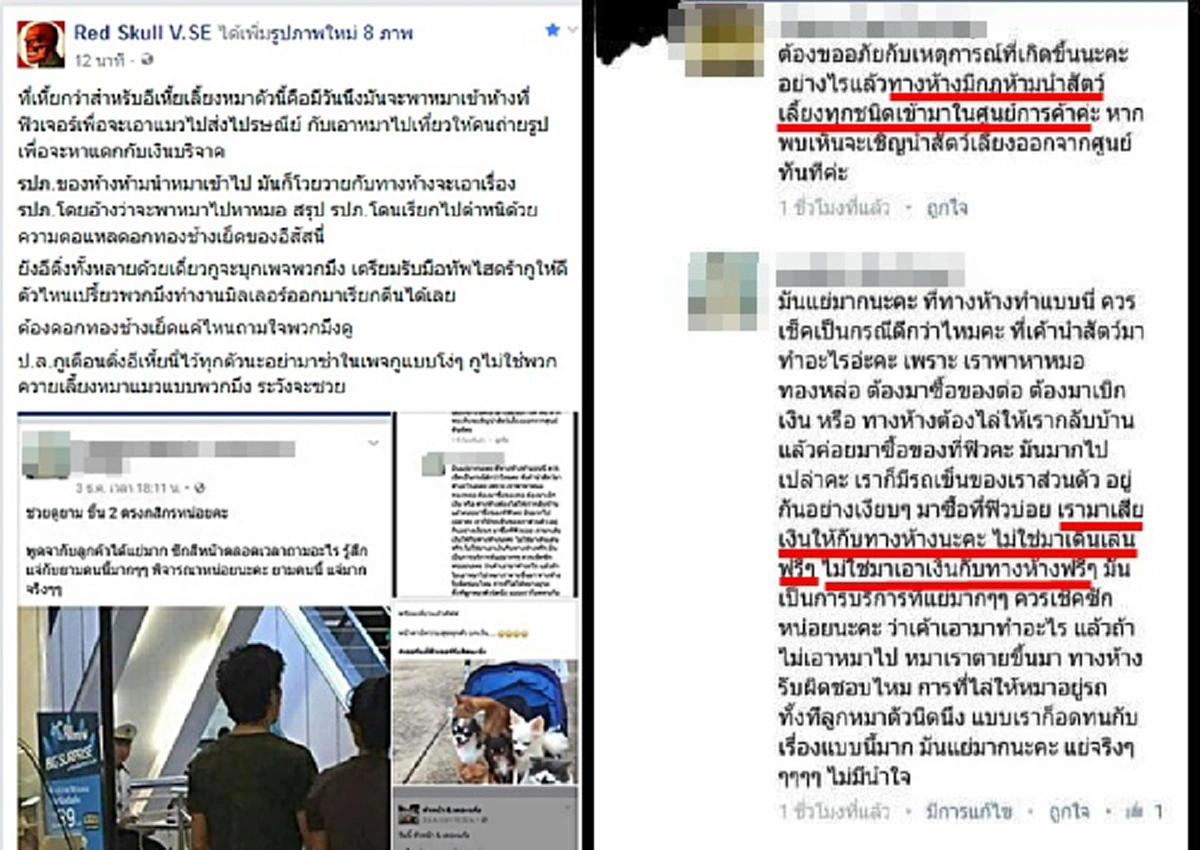 ดึงสติหน่อยแม่คุณ!!? โซเชียลฯดราม่าสนั่น สาวนำหมา-แมวเข้าห้างดัง-อุ้มเซลฟี่ใน 7-11 แถมโพสต์ฉะคนห้าม!! 